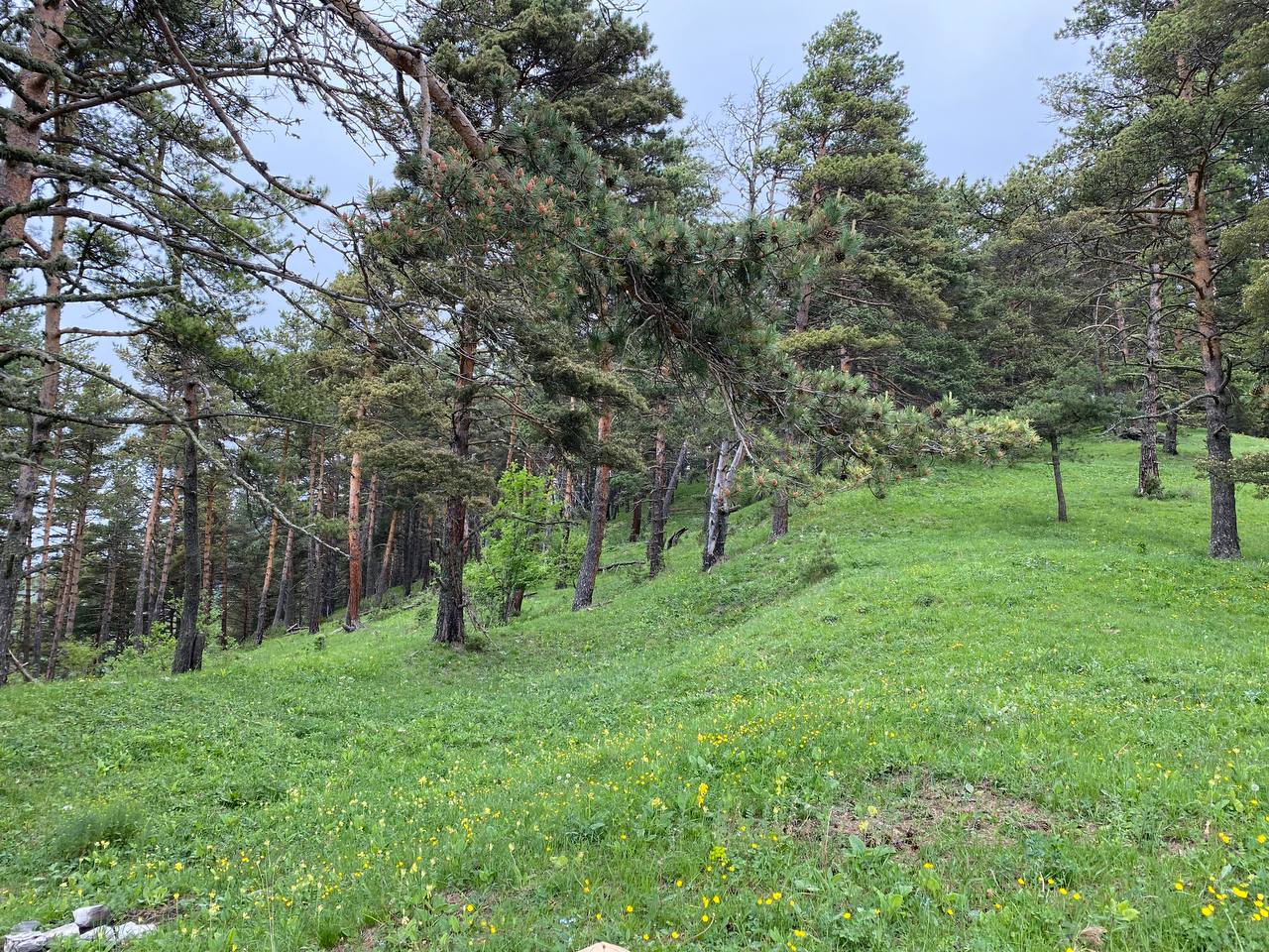 Джип-тур на выходные по горной Ингушетии (44/95)