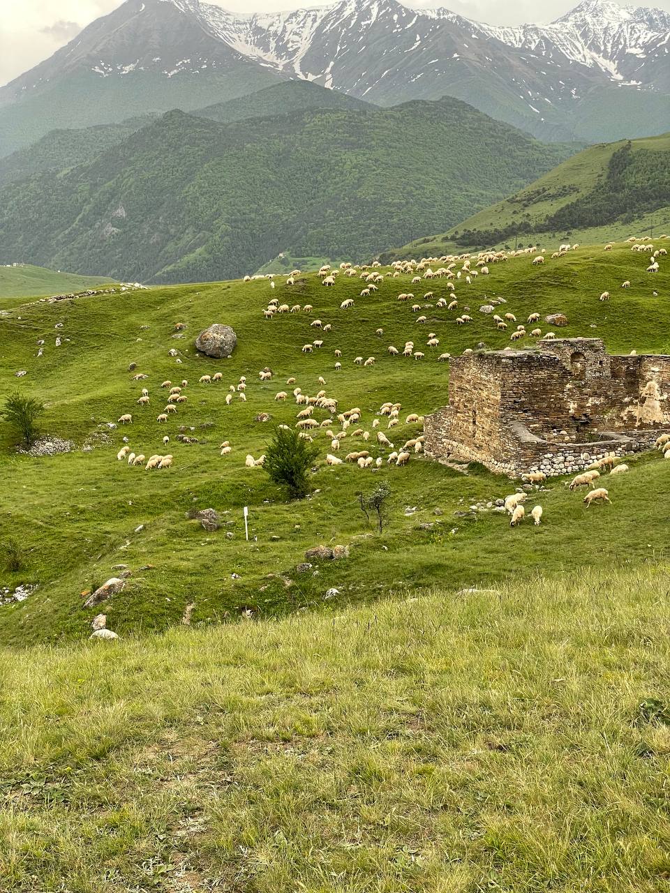 Джип-тур на выходные по горной Ингушетии (73/95)