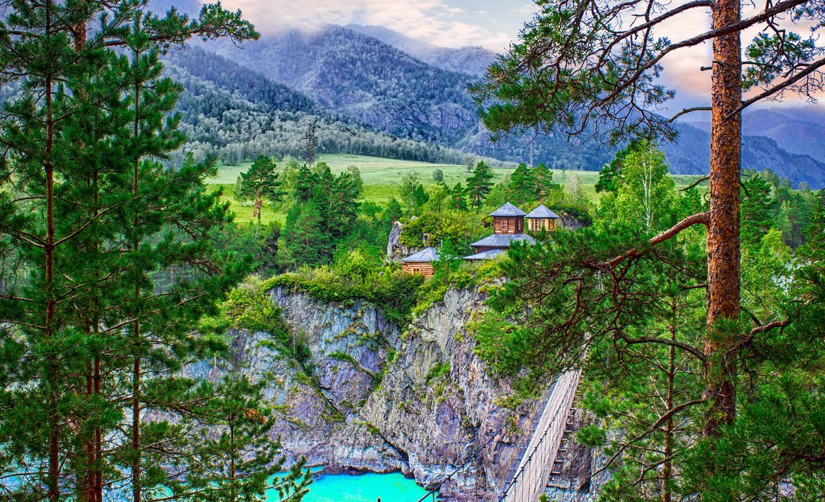 Цветение Маральника - Сиреневые горы Алтая (7/18)