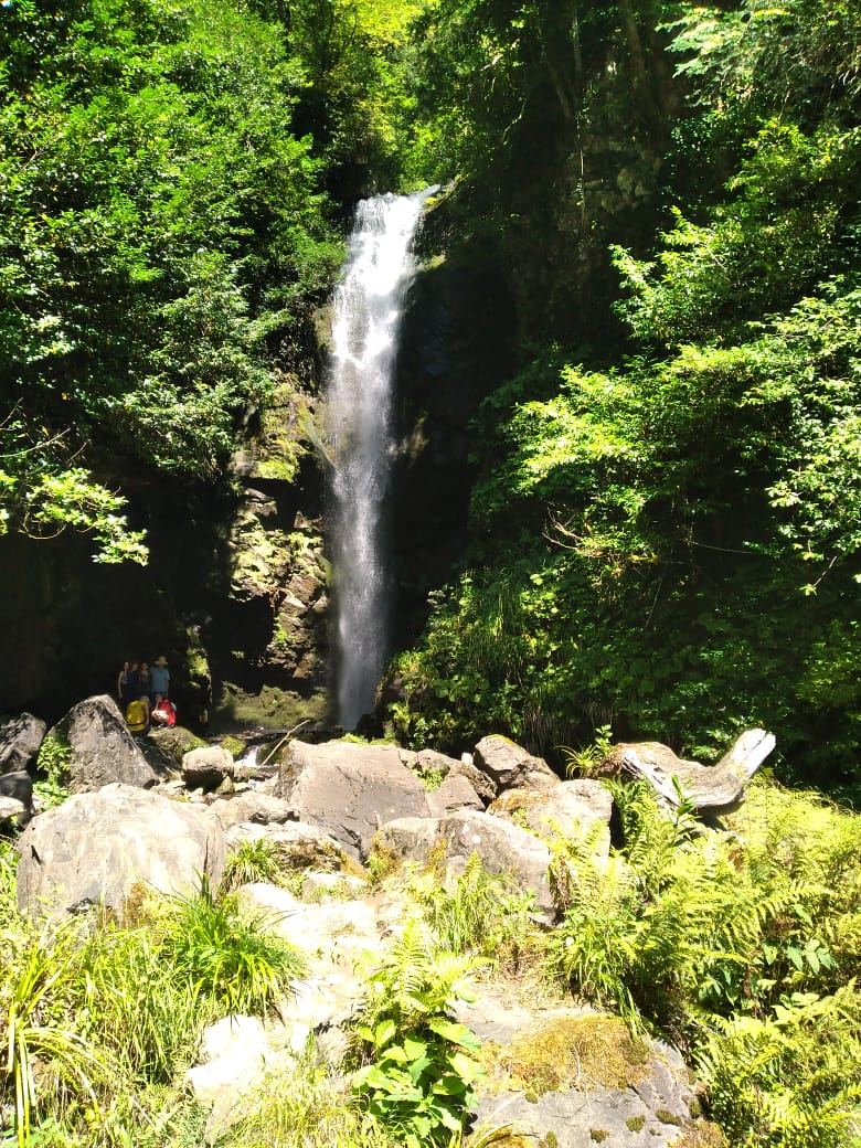 Лучшее в Абхазии за 5 дней. Тур с комфортом. (28/55)