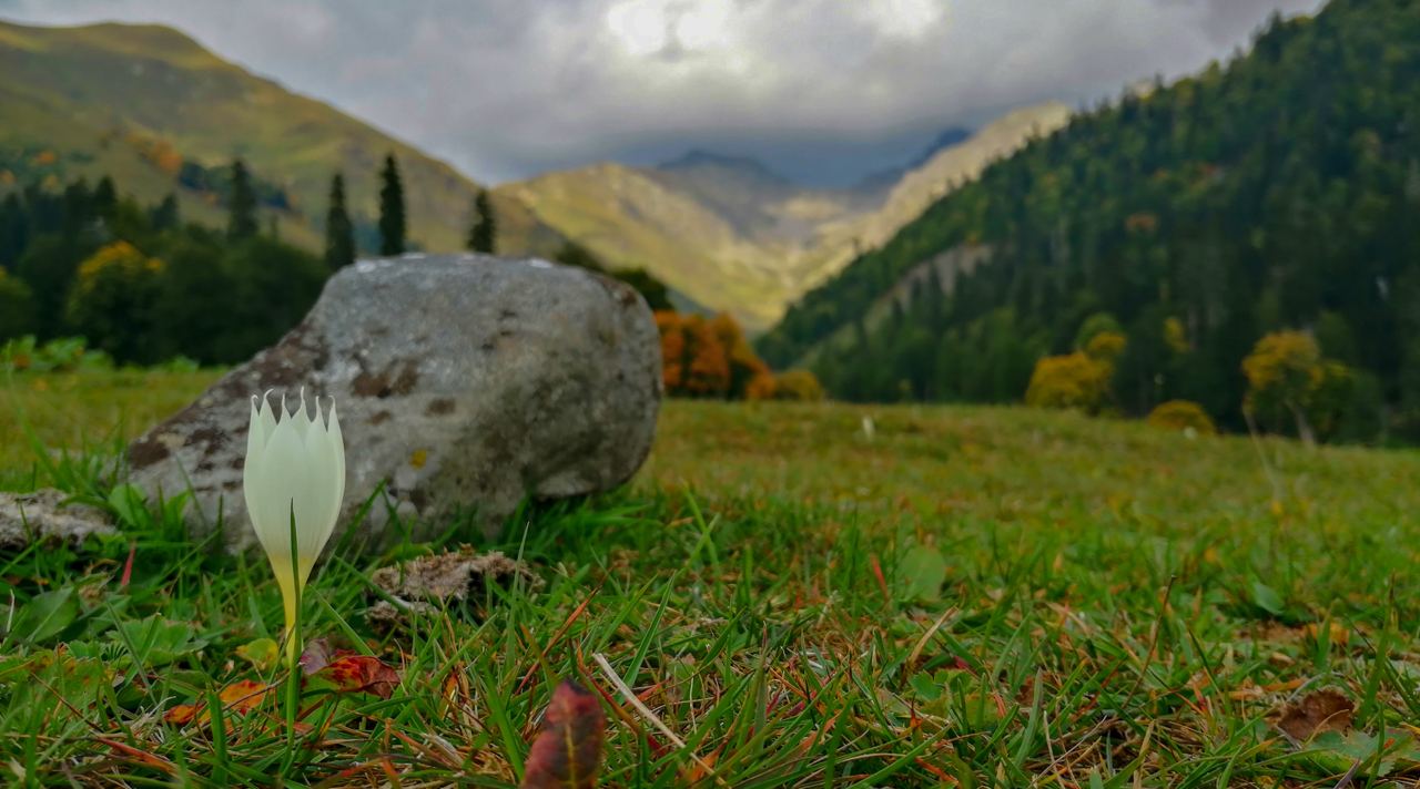 Лучшее в Абхазии за 5 дней. Тур с комфортом. (35/55)