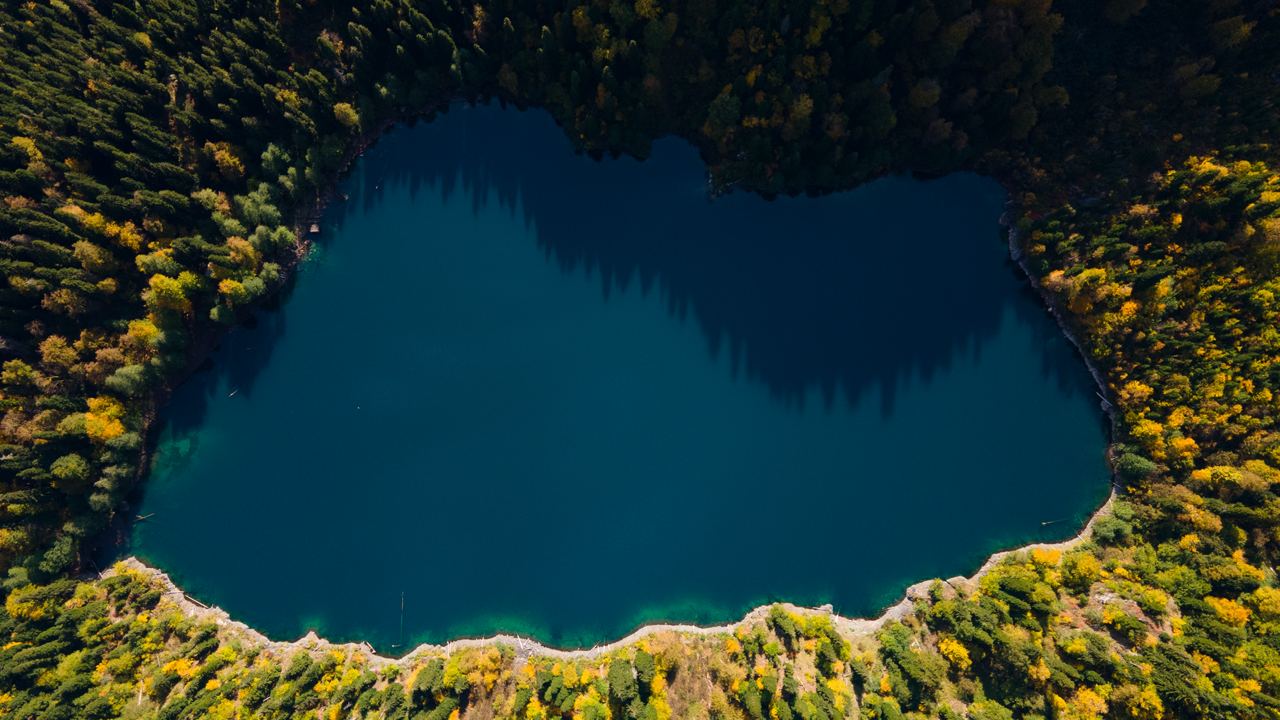 Лучшее в Абхазии за 5 дней. Тур с комфортом. (31/55)