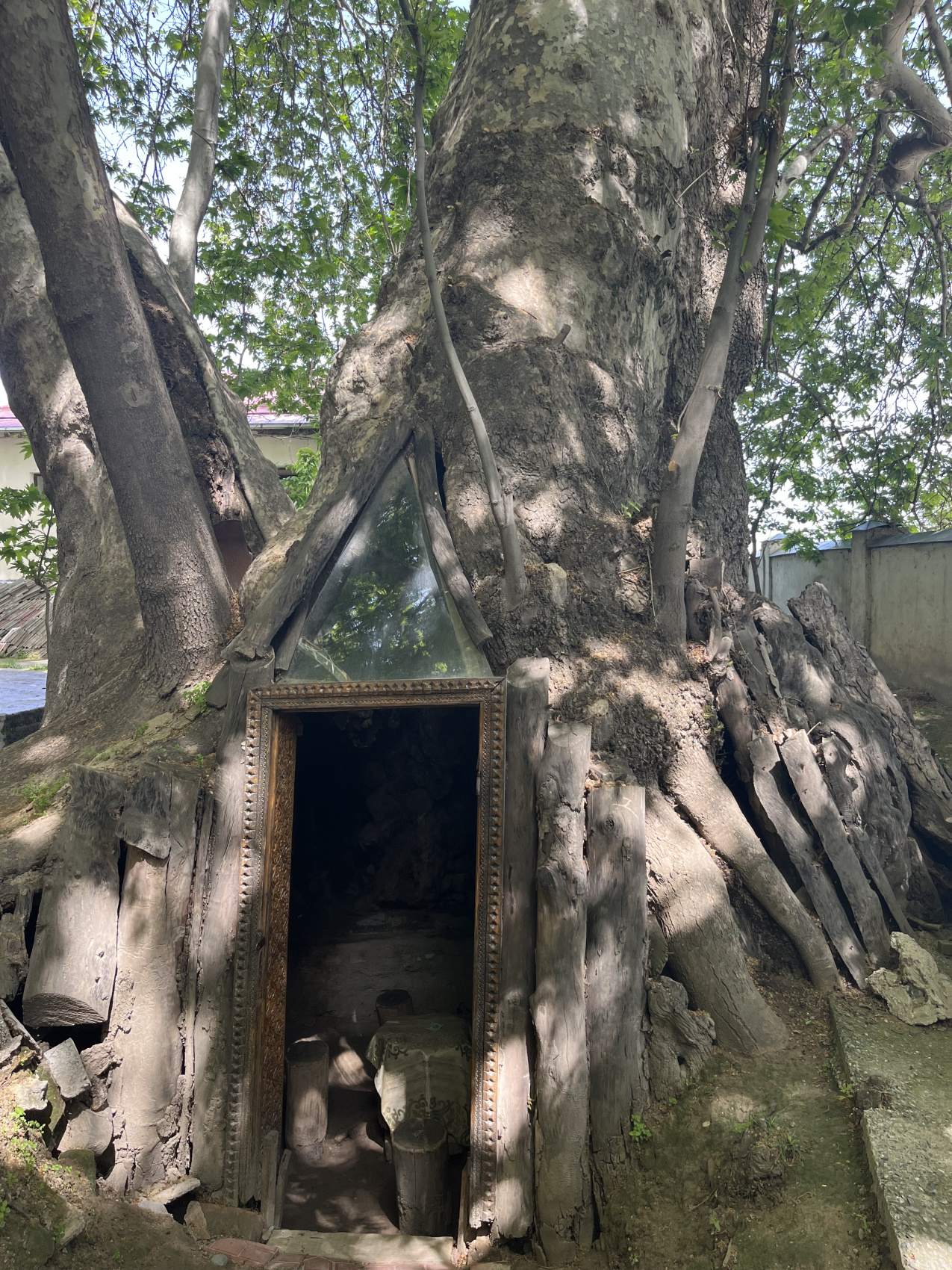 Горные тропы + Самарканд и Бухара (47/80)