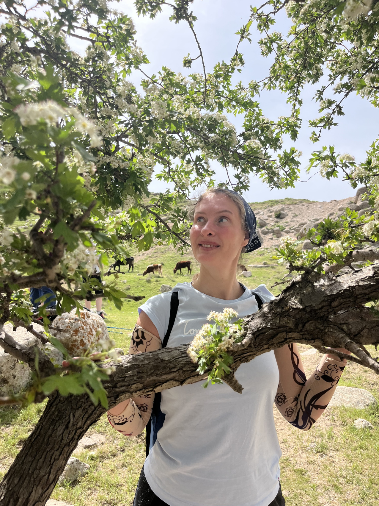 Горные тропы + Самарканд и Бухара (53/80)