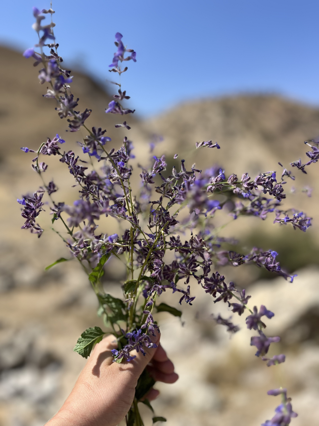 Горные тропы + Самарканд и Бухара (18/80)