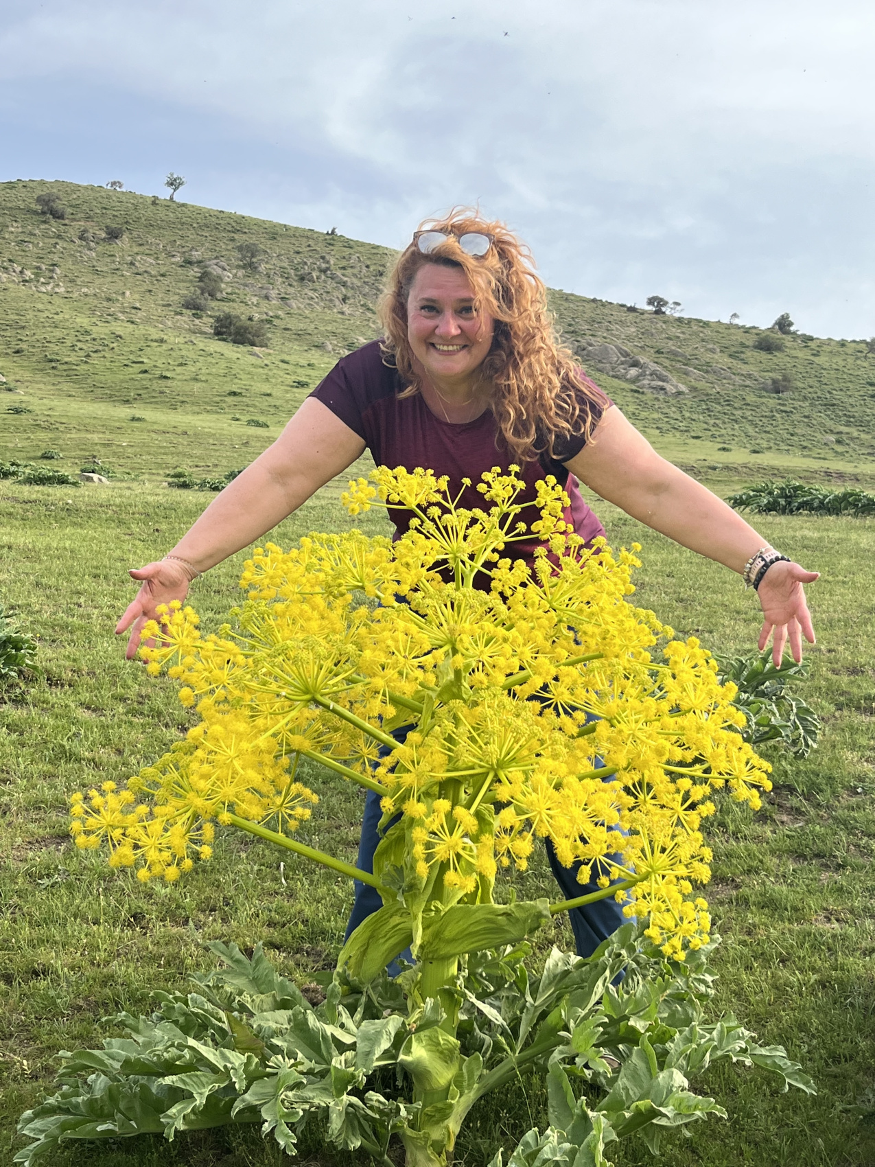 Горные тропы + Самарканд и Бухара (48/80)