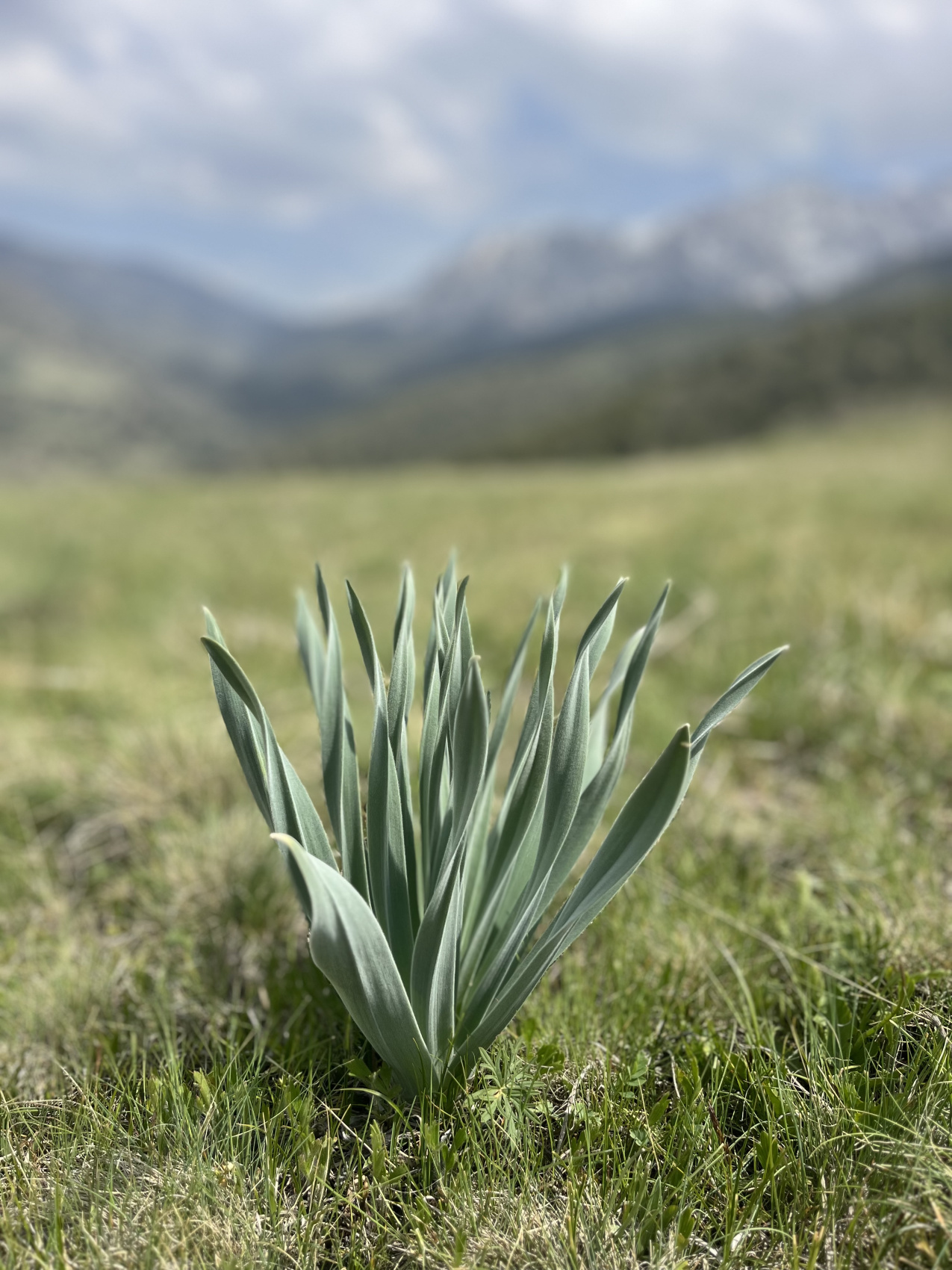 Горные тропы + Самарканд и Бухара (41/80)