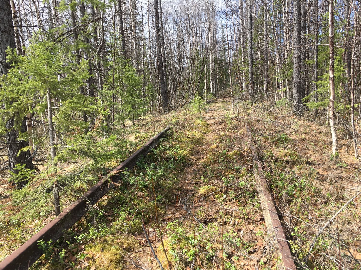 Впервые на Полярном Круге (8/16)