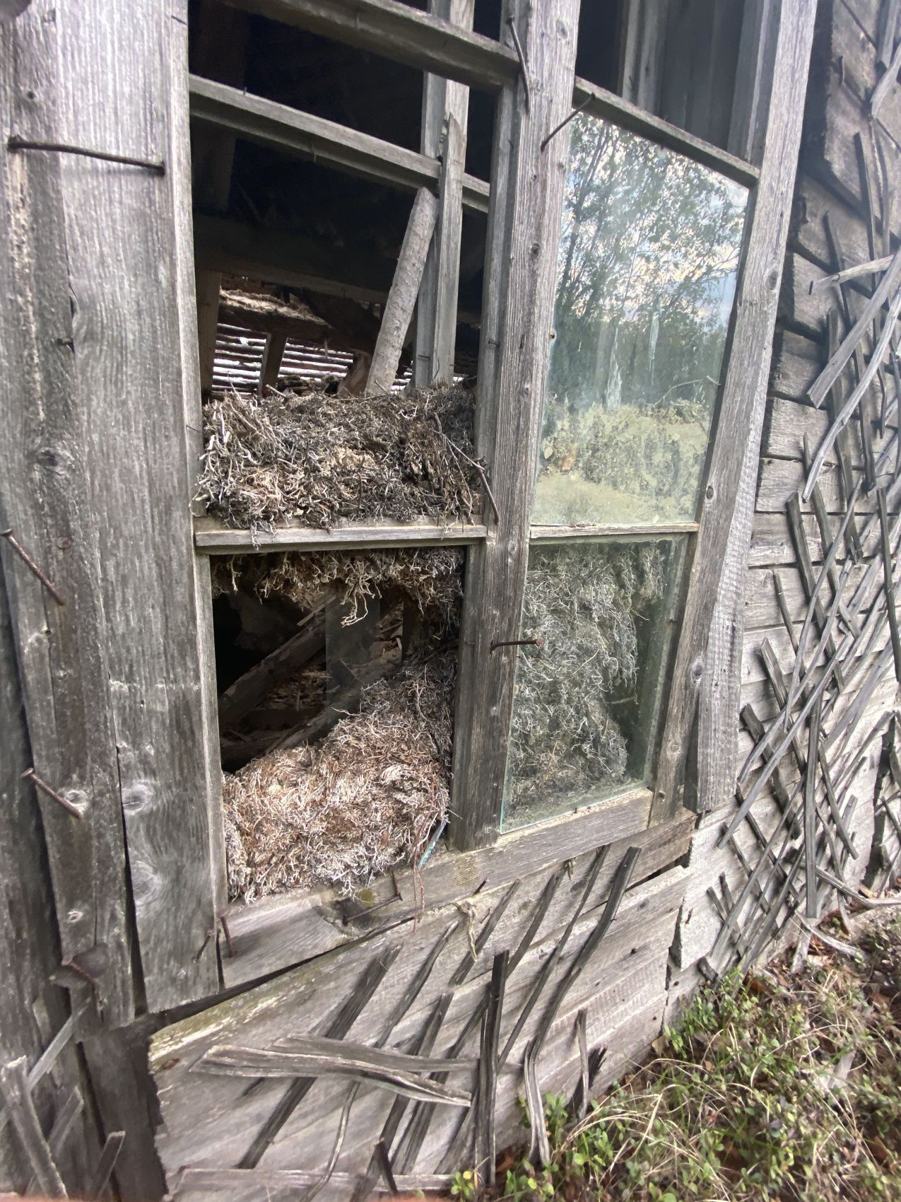 Впервые на Полярном Круге (7/16)