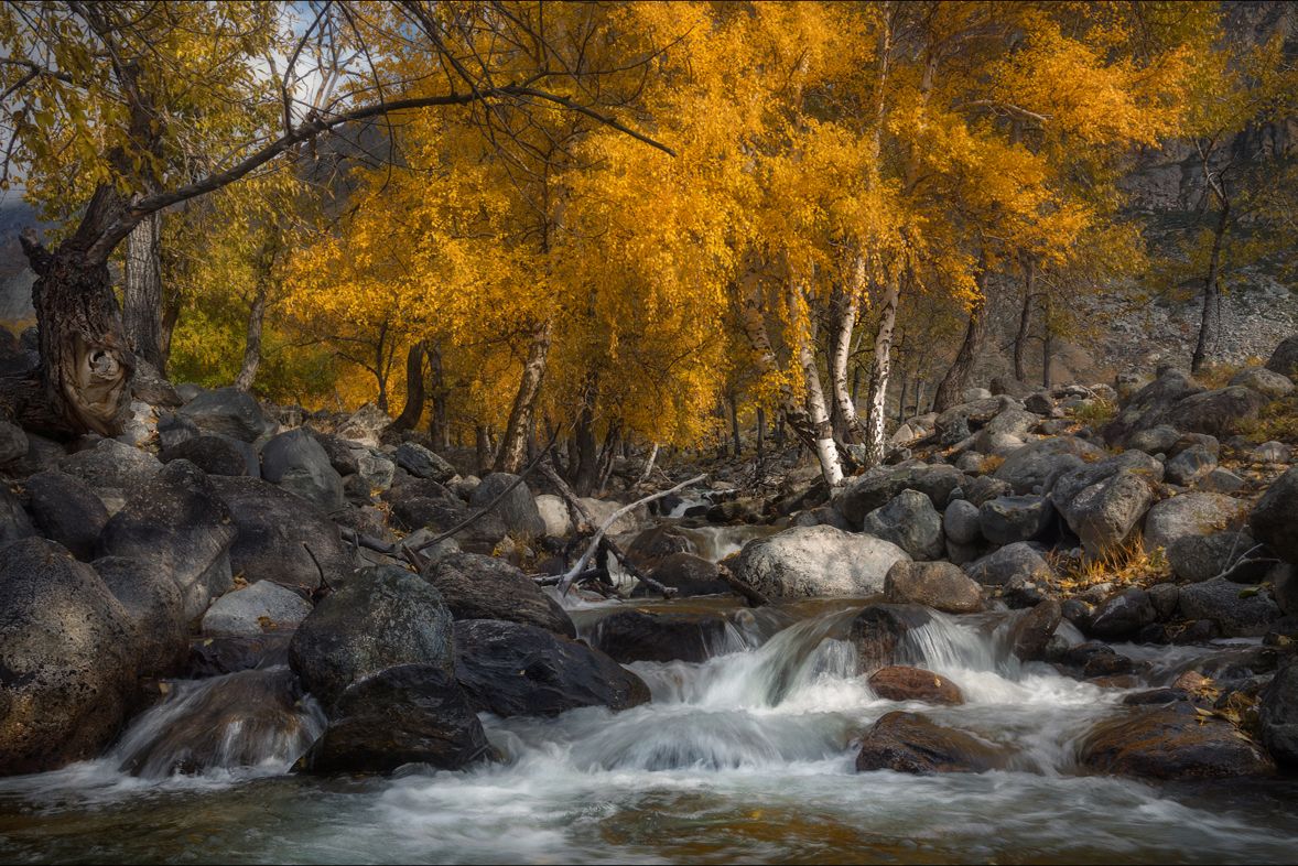 Алтай по маршруту  National Geographic (15/36)