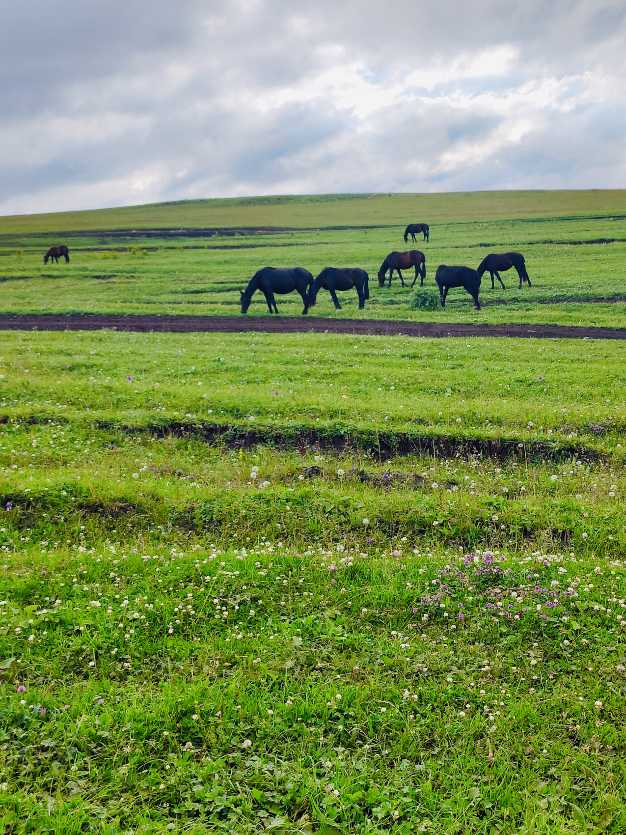 Фитнес-тур Вершины Кавказа  7 дней  Всё включено (76/105)