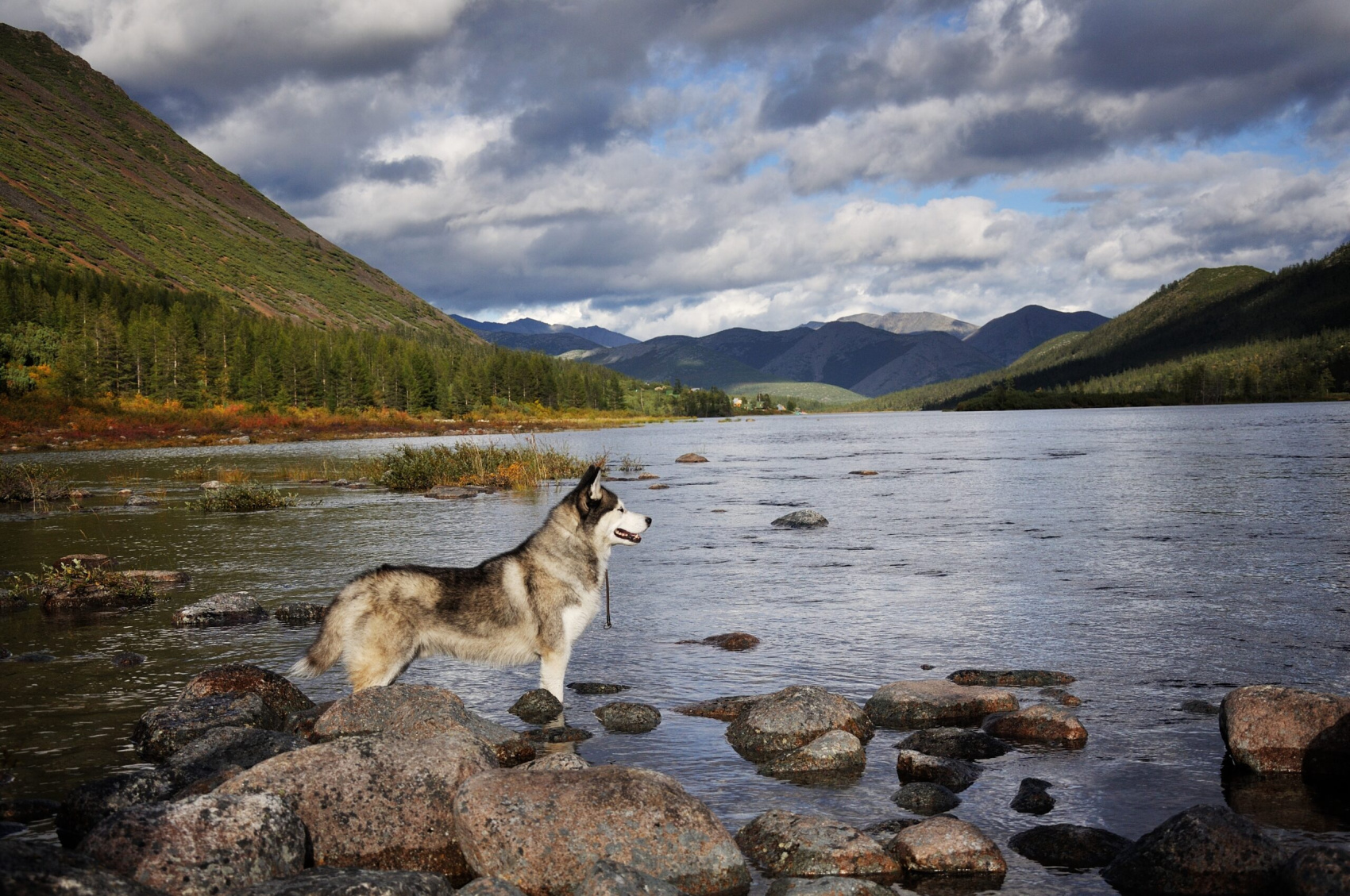 Осенняя Колыма - поход на озеро Джека Лондона (16/43)