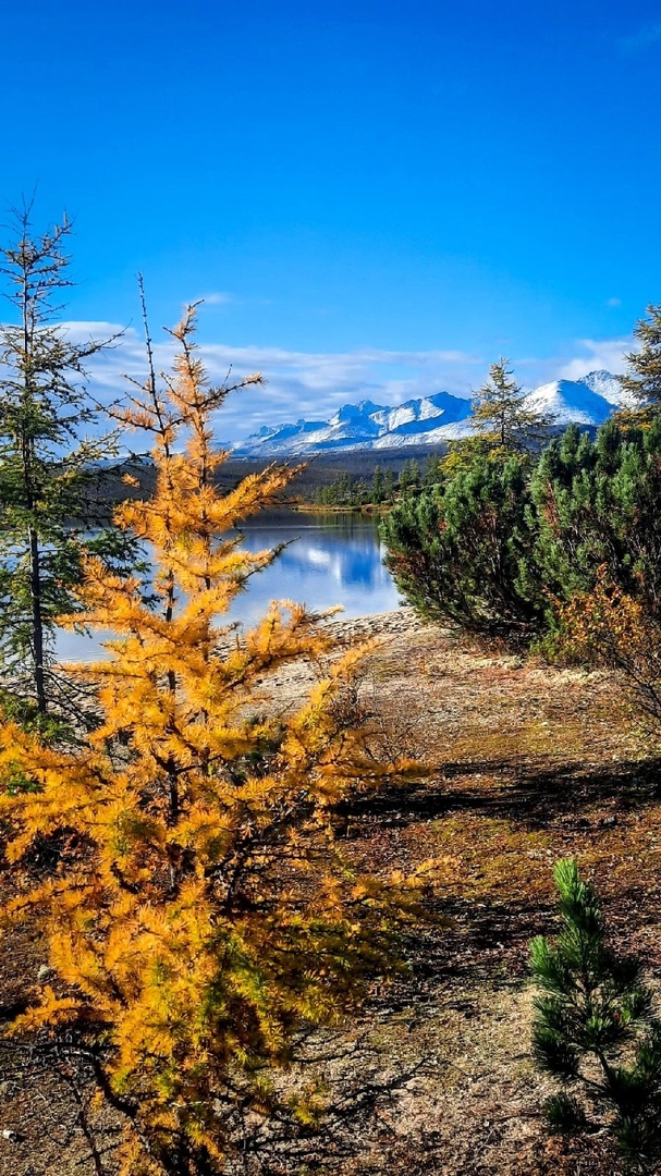 Осенняя Колыма - поход на озеро Джека Лондона (9/43)