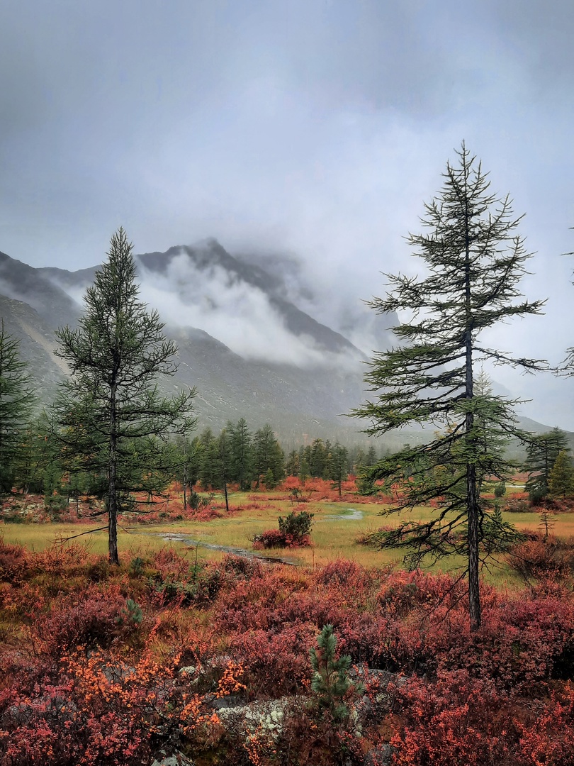 Осенняя Колыма - поход на озеро Джека Лондона (10/43)