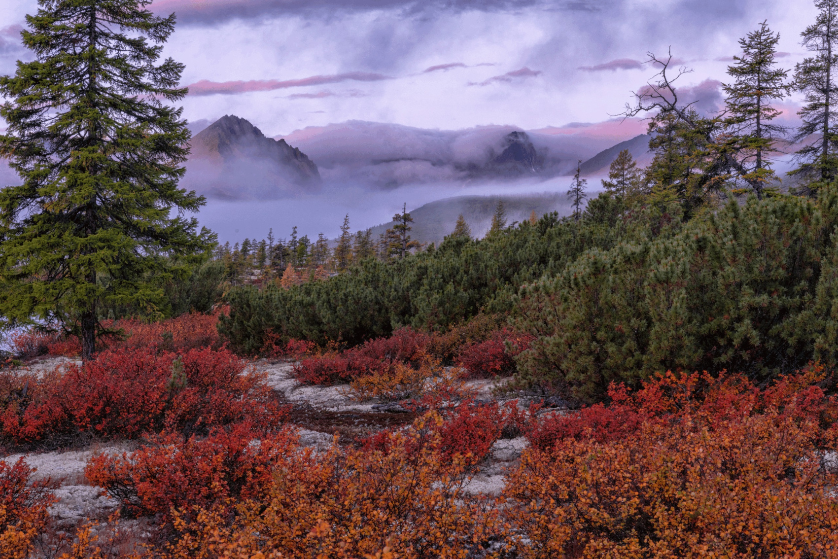 Осенняя Колыма - поход на озеро Джека Лондона (6/43)