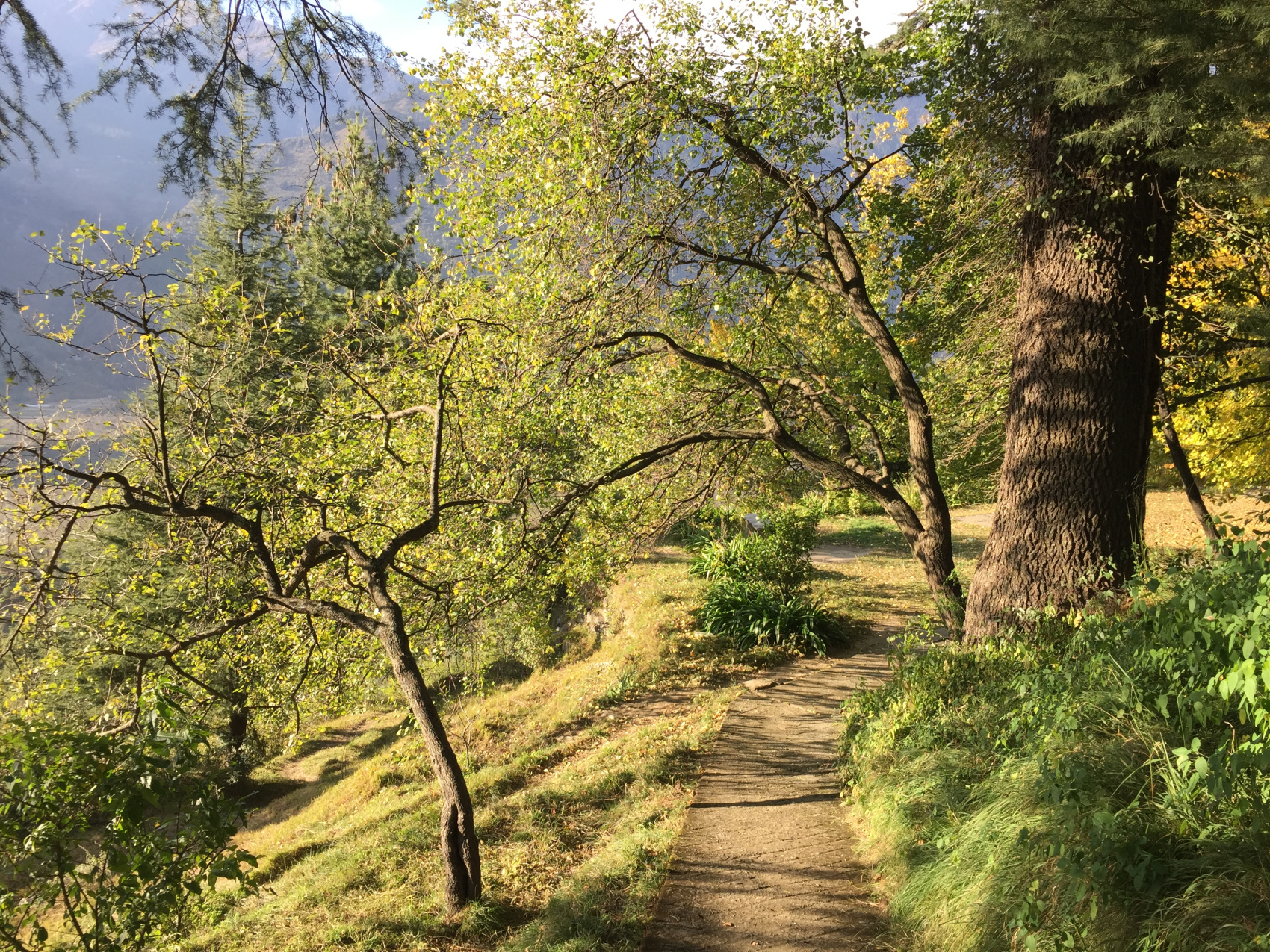 Гималаи. Химачал и сикхский Амритсар (8/9)