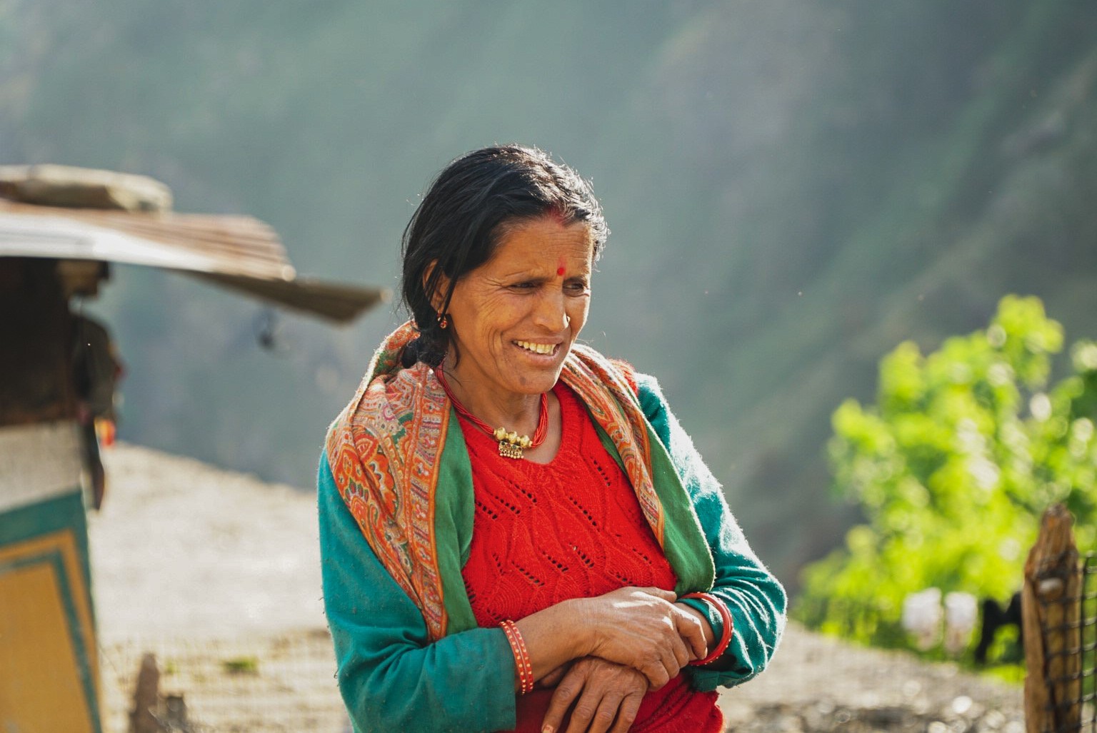 Гималаи. В гостях у Далай-Ламы + места силы Рериха (2/75)