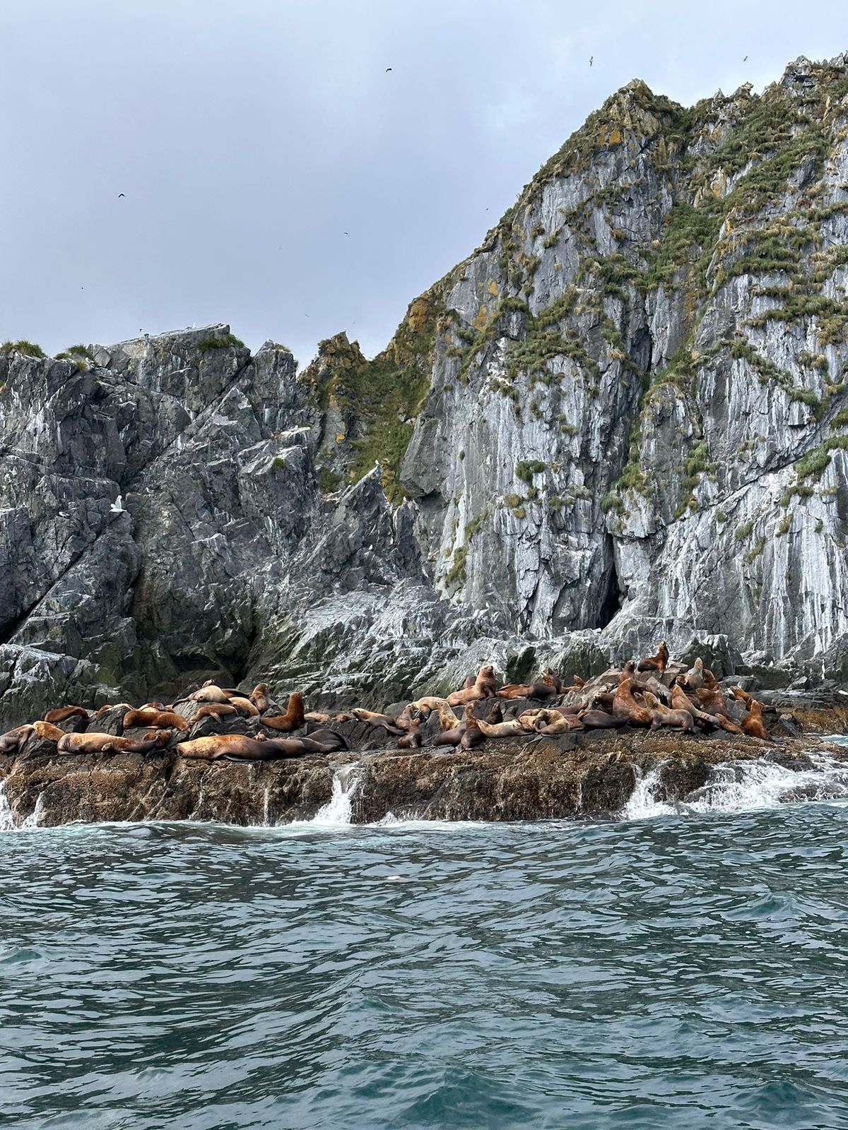 Все лучшее на Камчатке с комфортом (22/49)