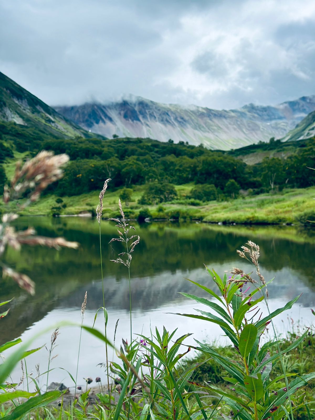 Все лучшее на Камчатке с комфортом (28/49)
