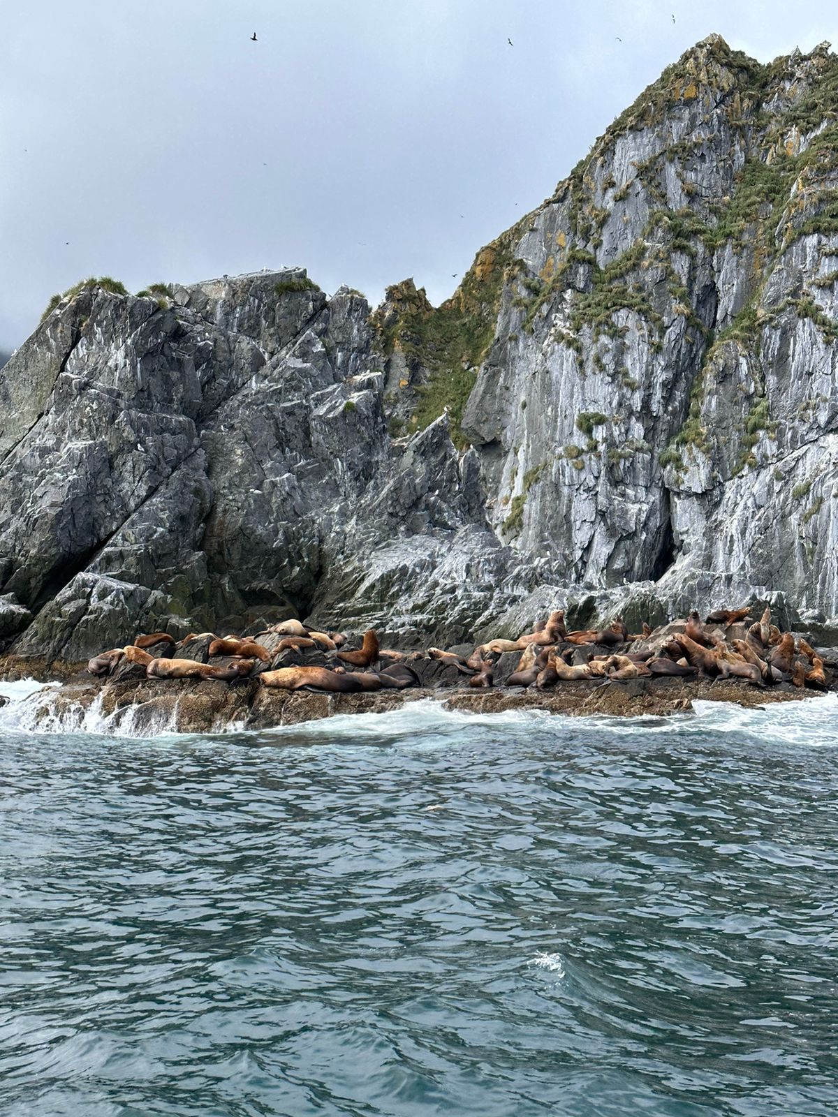 Все лучшее на Камчатке с комфортом (12/49)