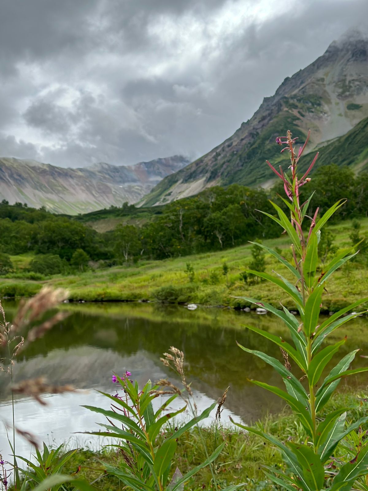 Все лучшее на Камчатке с комфортом (20/49)