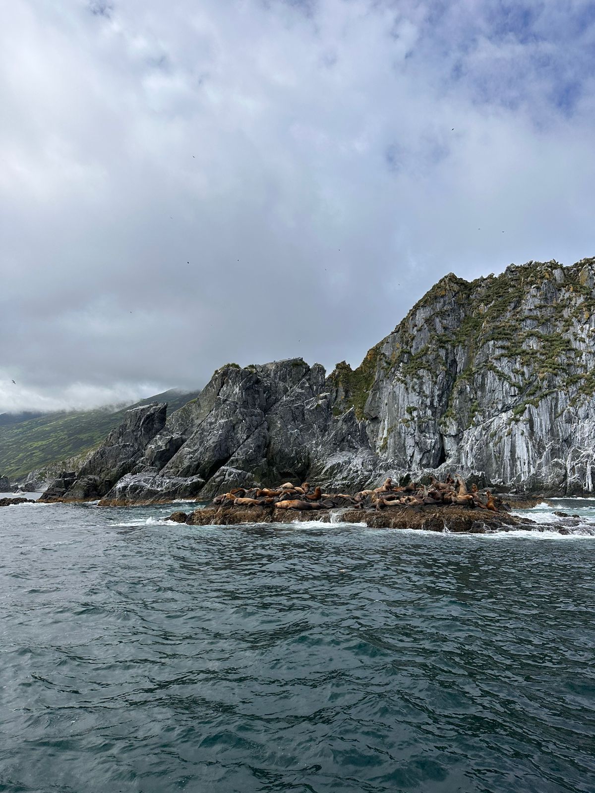 Все лучшее на Камчатке с комфортом (13/49)