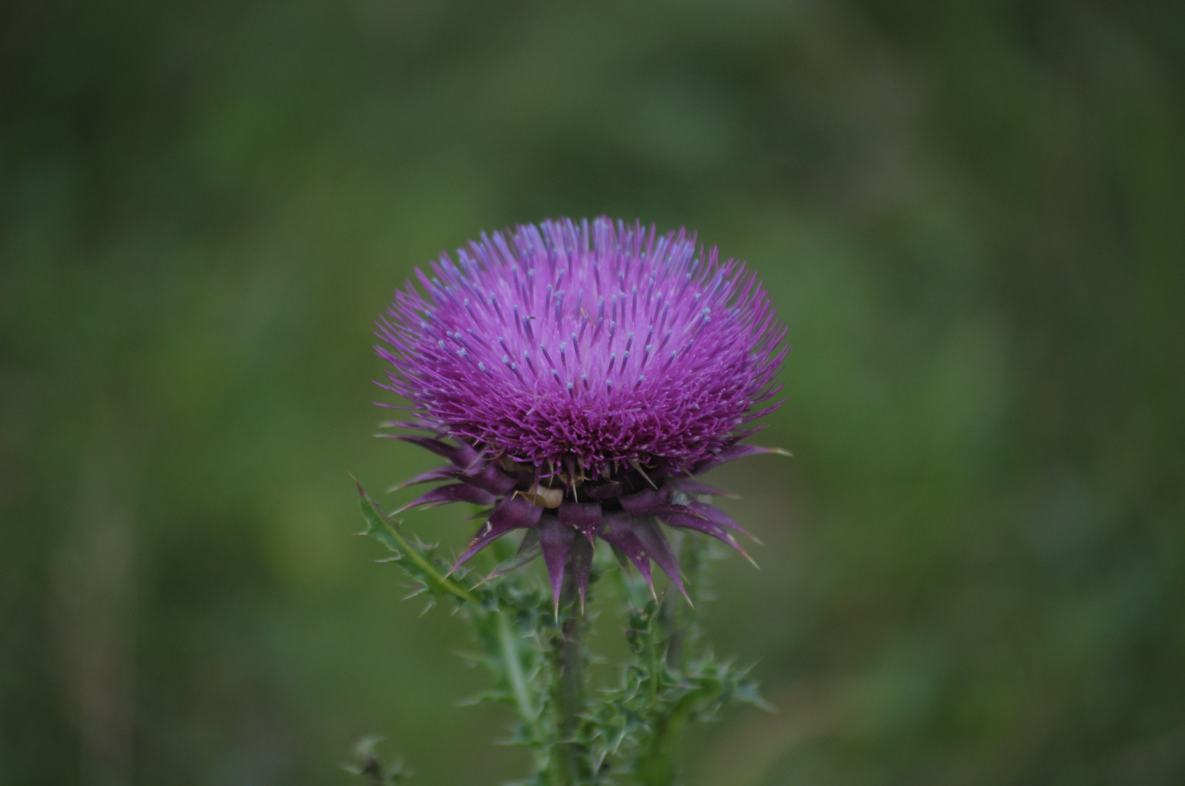 Комфортное Приэльбрусье с севера и юга (114/139)