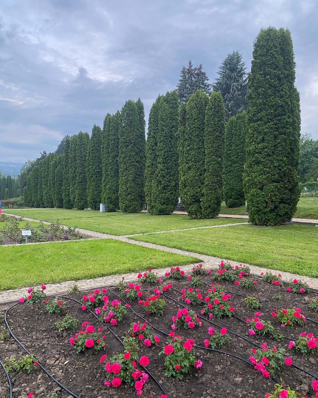 Комфортное Приэльбрусье с севера и юга (25/139)