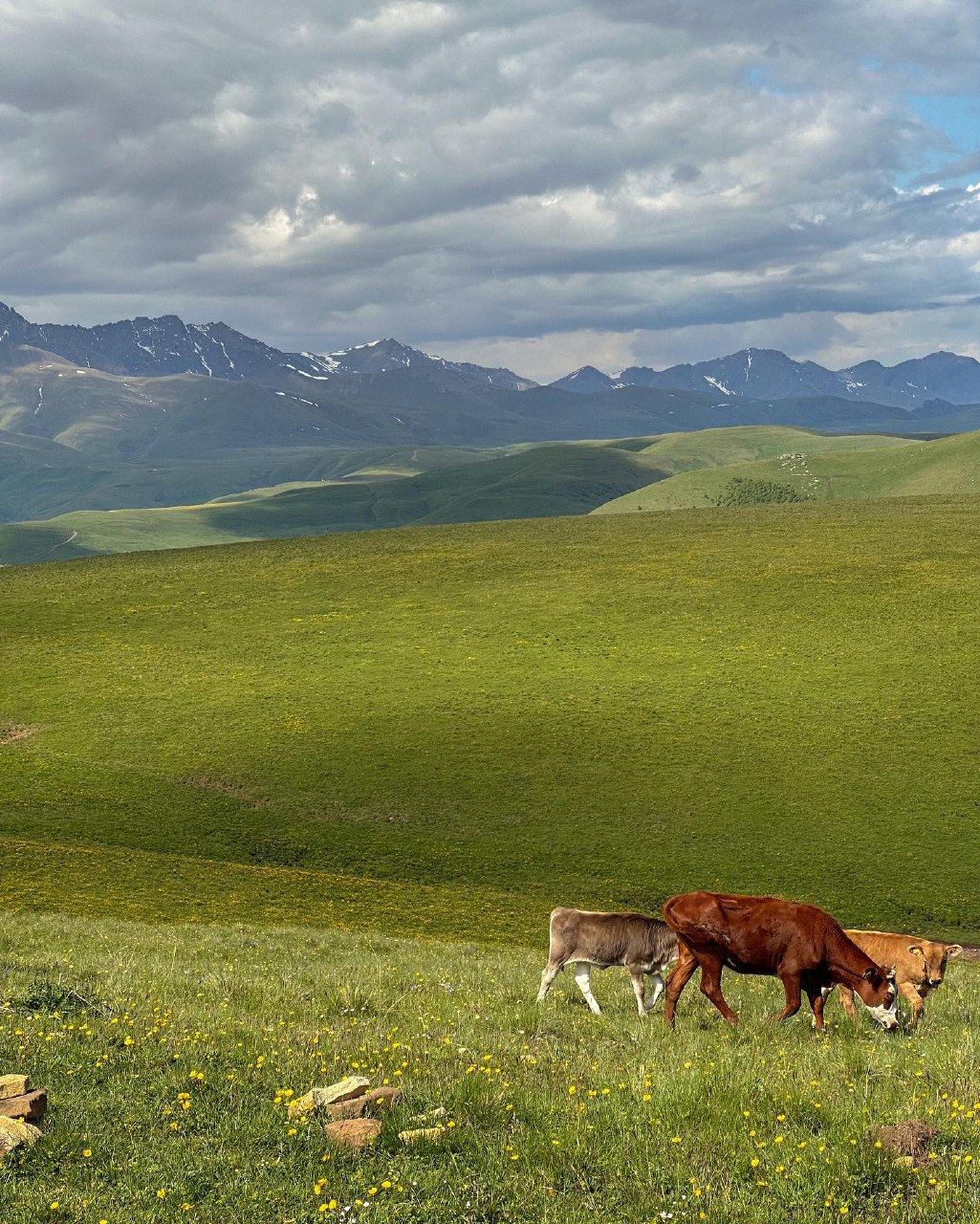 Комфортное Приэльбрусье с севера и юга (97/139)