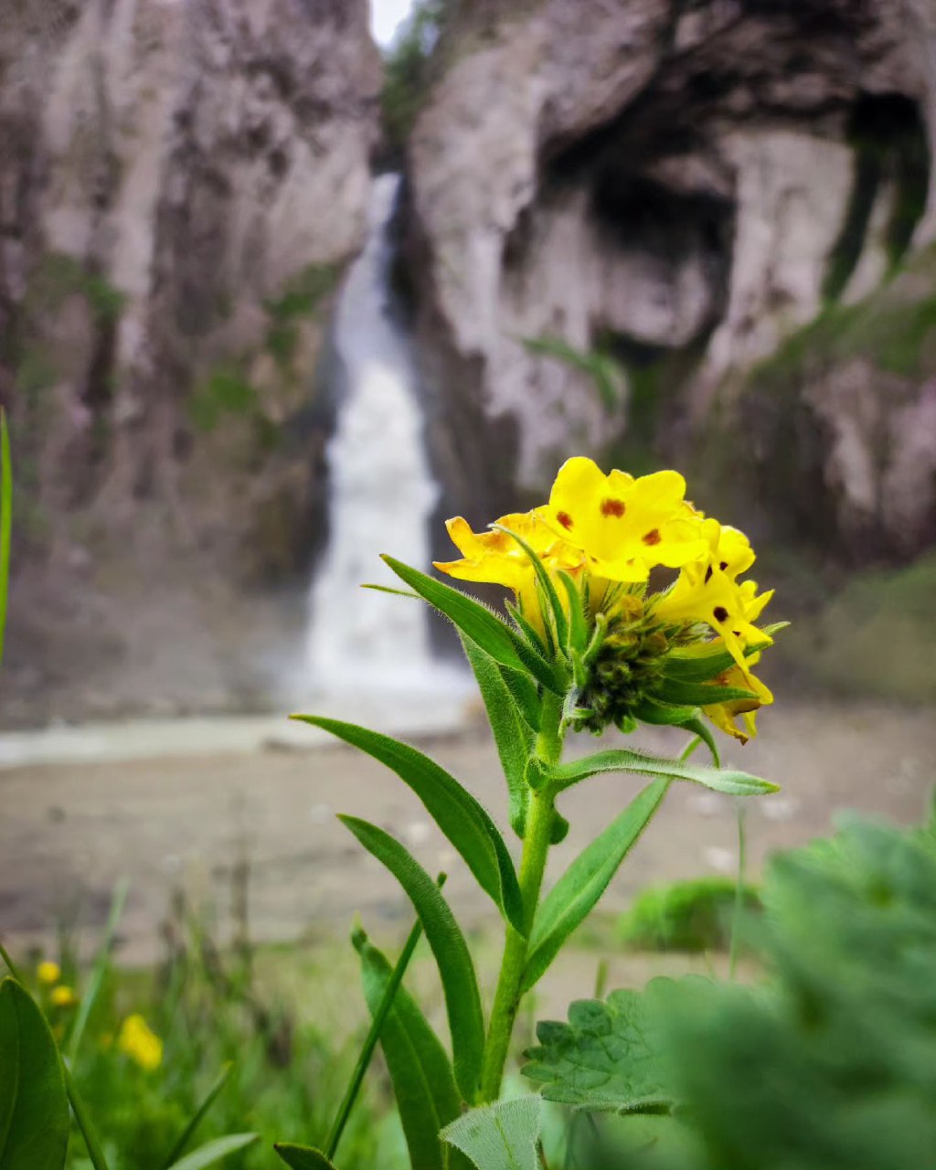 Комфортное Приэльбрусье с севера и юга (83/139)