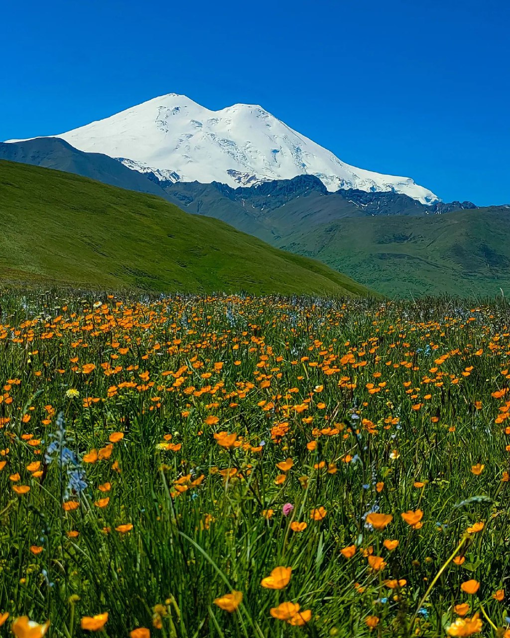 Комфортное Приэльбрусье с севера и юга (75/139)