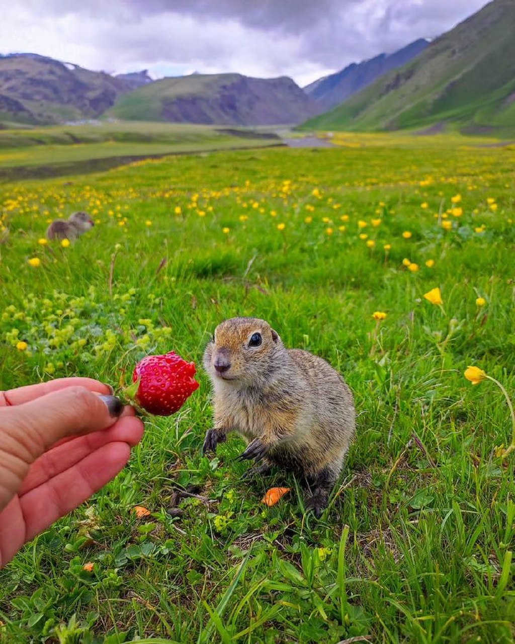 Комфортное Приэльбрусье с севера и юга (104/139)
