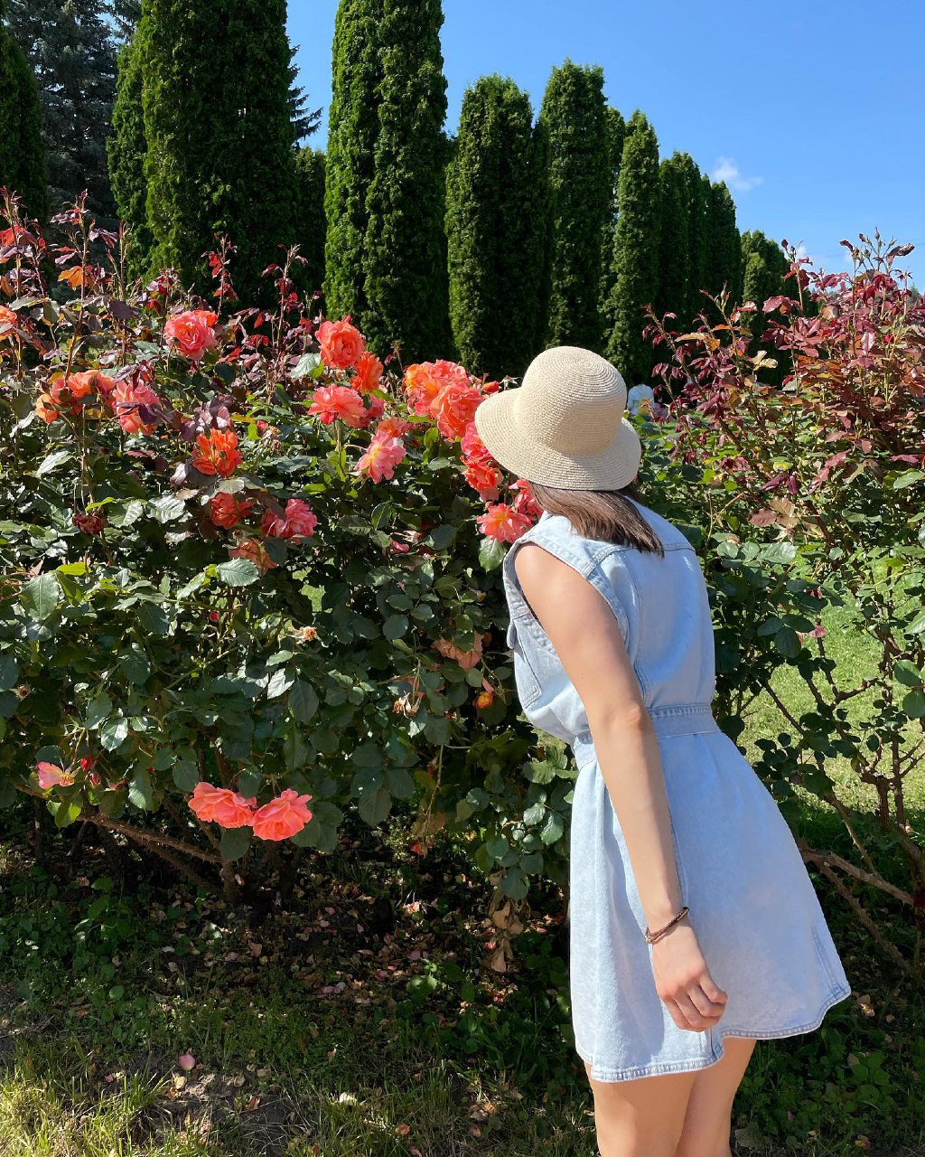 Комфортное Приэльбрусье с севера и юга (23/139)