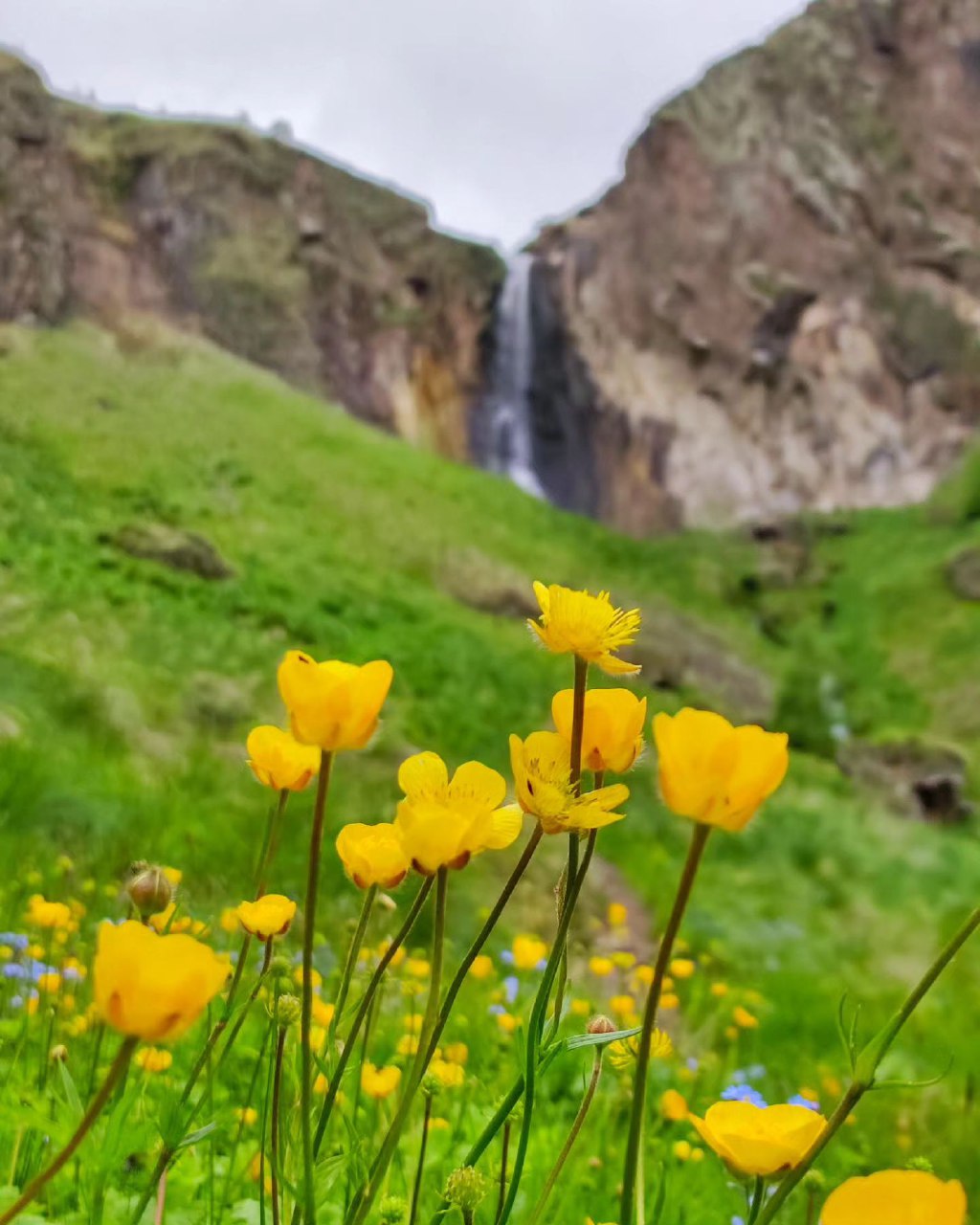 Комфортное Приэльбрусье с севера и юга (80/139)