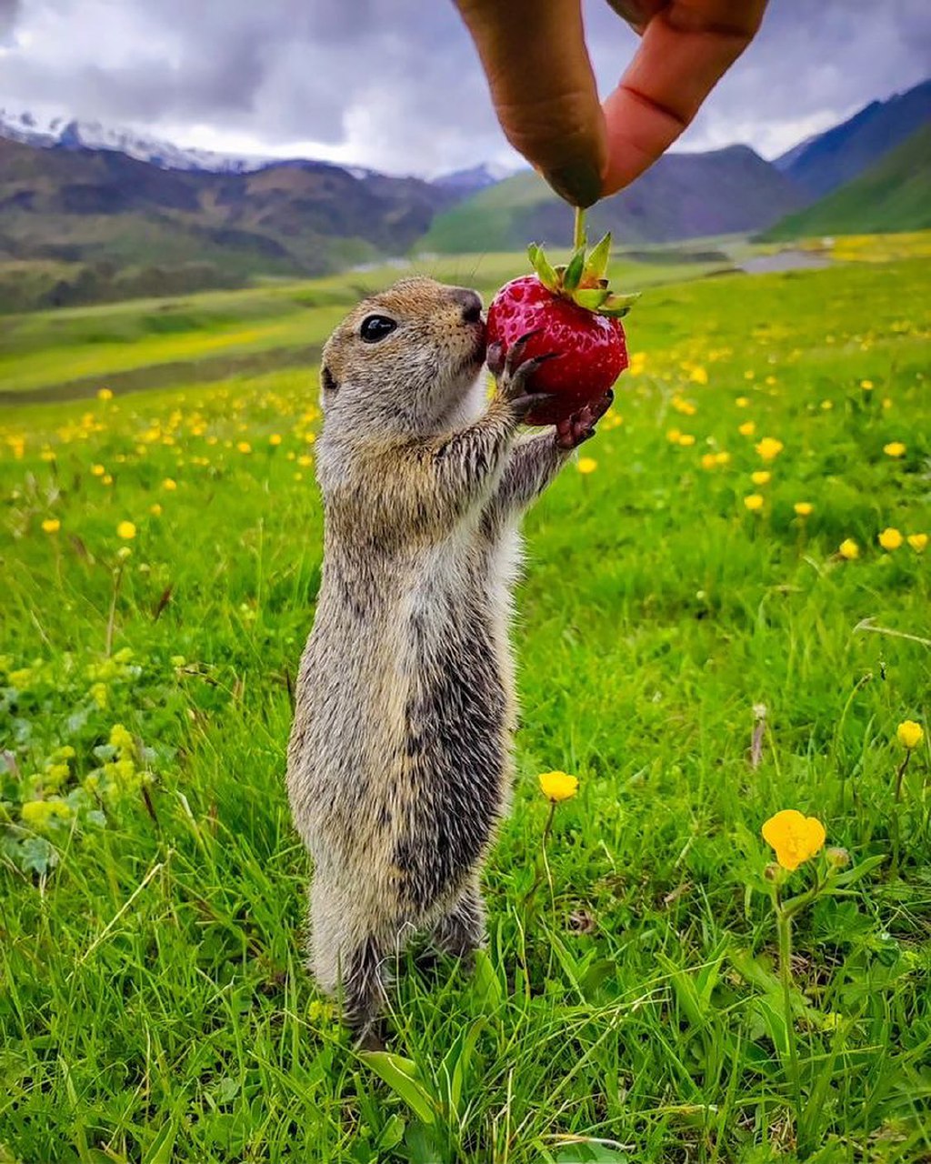 Комфортное Приэльбрусье с севера и юга (106/139)