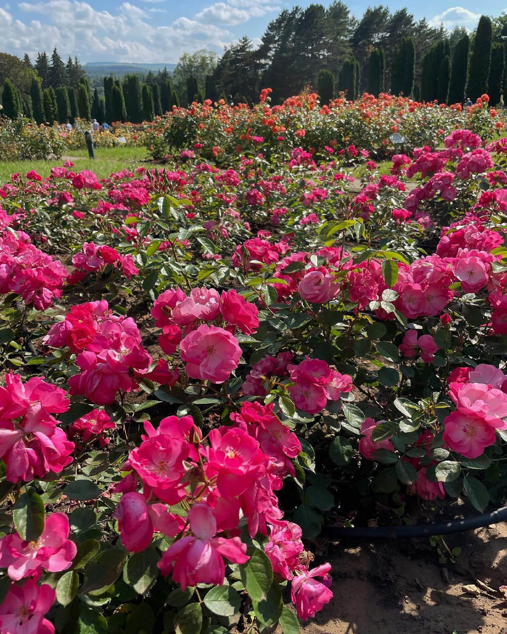 Комфортное Приэльбрусье с севера и юга (22/139)
