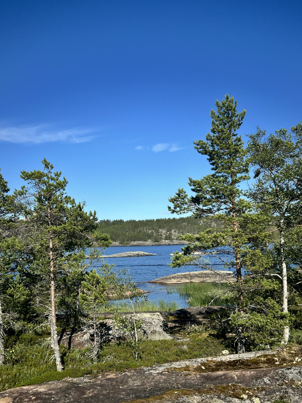 Вся Карелия. Мультитур от Онеги до Ладоги. Любые Даты! (20/48)