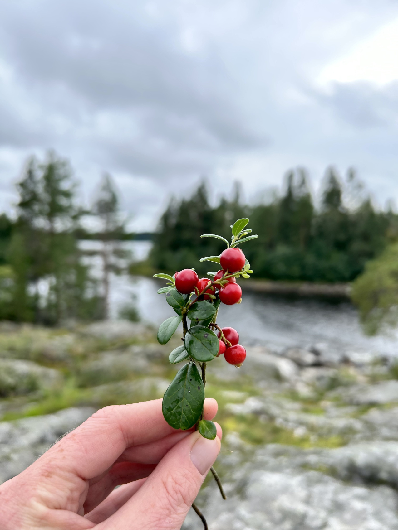 Вся Карелия. Мультитур от Онеги до Ладоги. Любые Даты! (8/48)