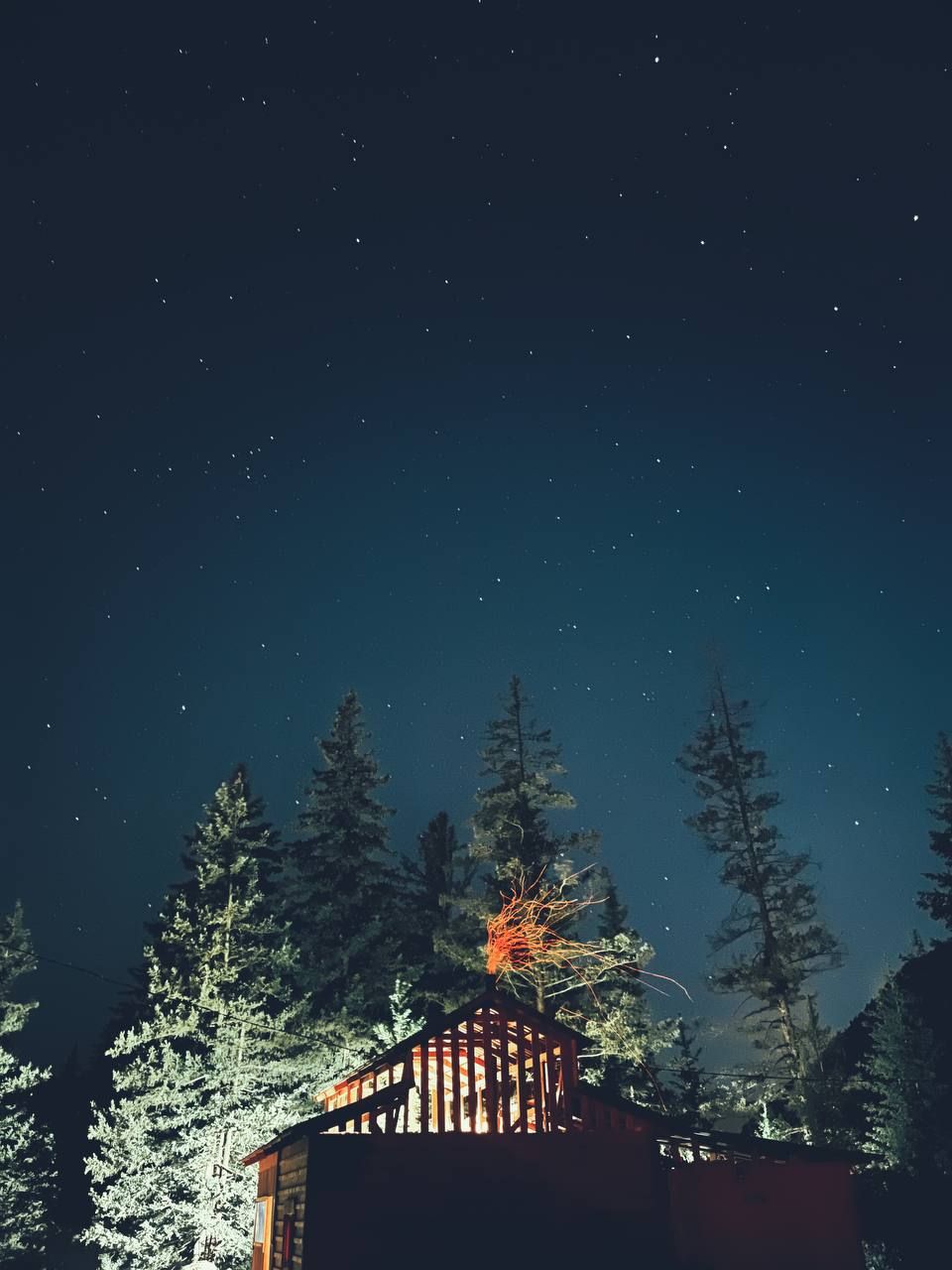 Глубины Алтая (5/23)