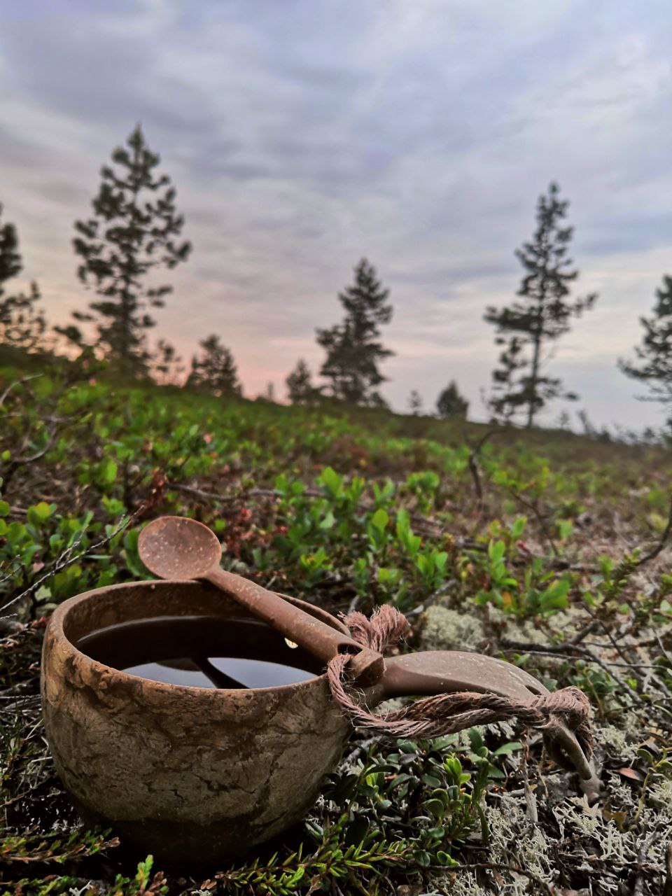 Летняя кругосветка на Кольском: полное северное погружение за 7 дней (4/43)