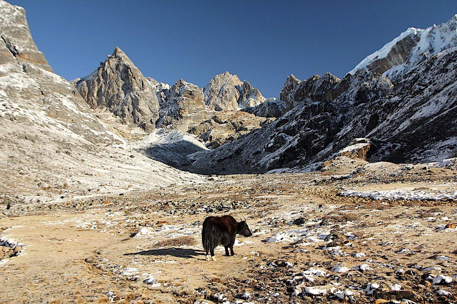 Треккинг к Эвересту за неделю (4/7)