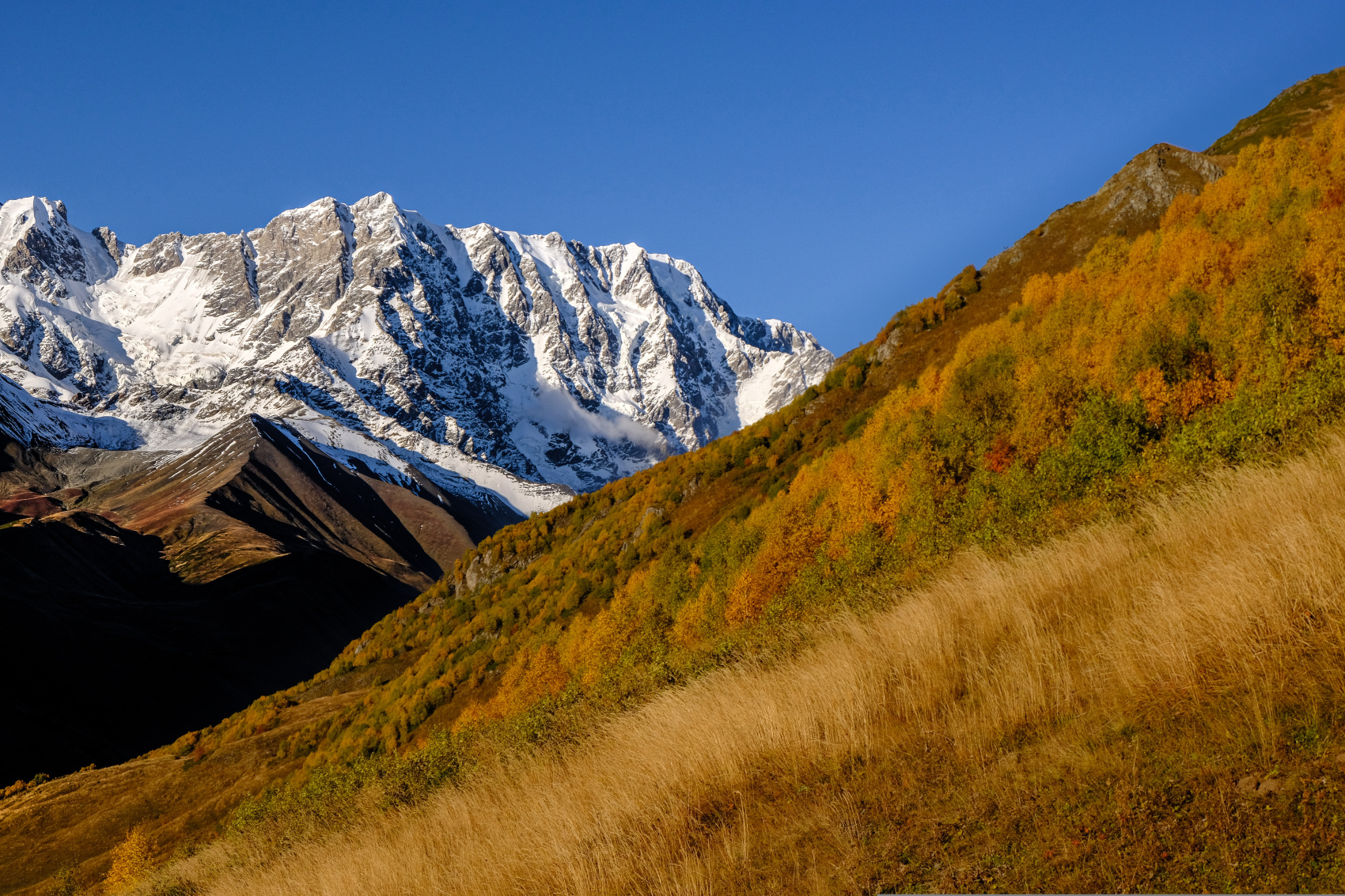 Дикая Грузия+Хевсуретия на внедорожниках (15/57)