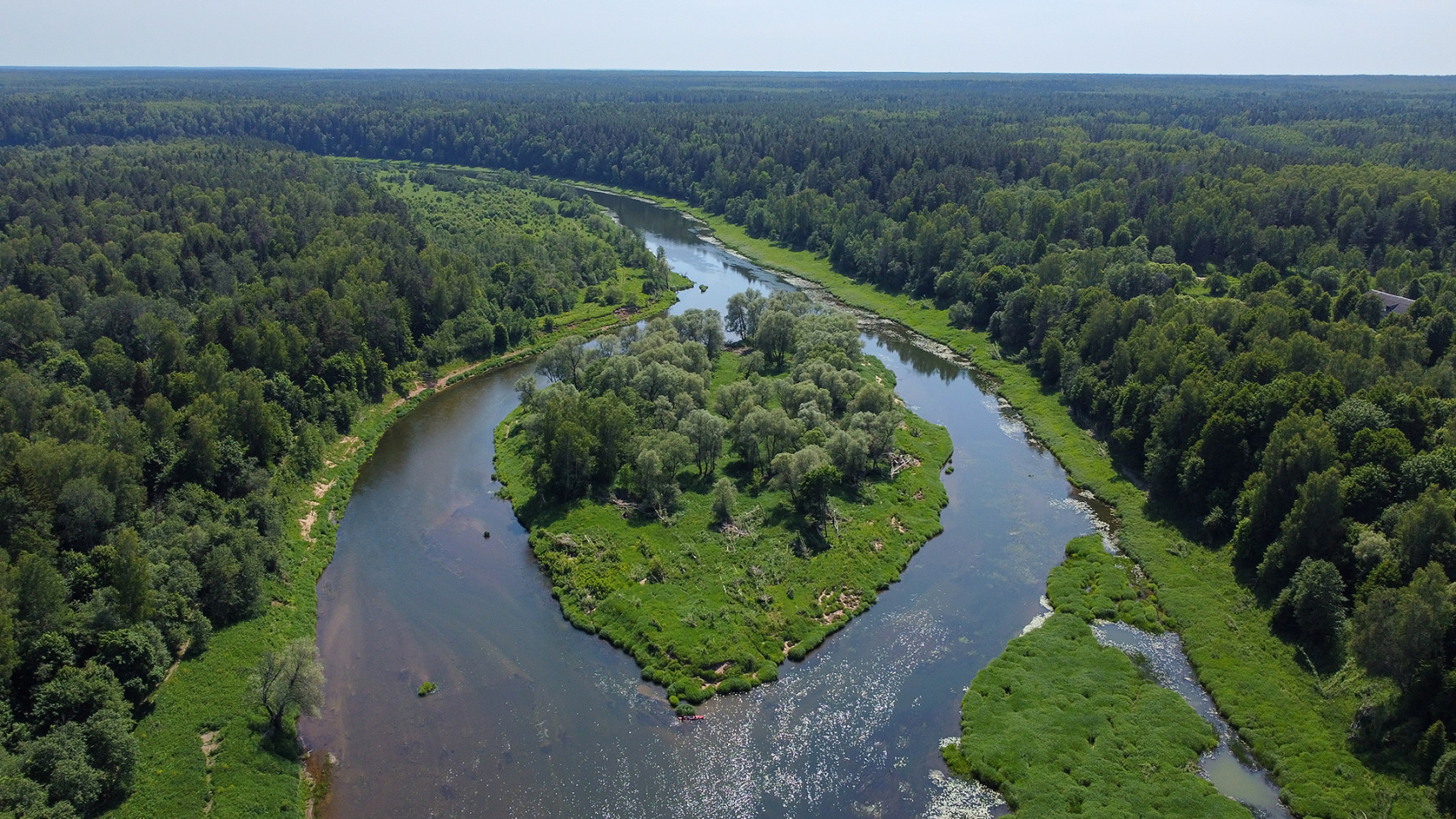 Сплав в Подмосковье в национальном парке  (13/20)