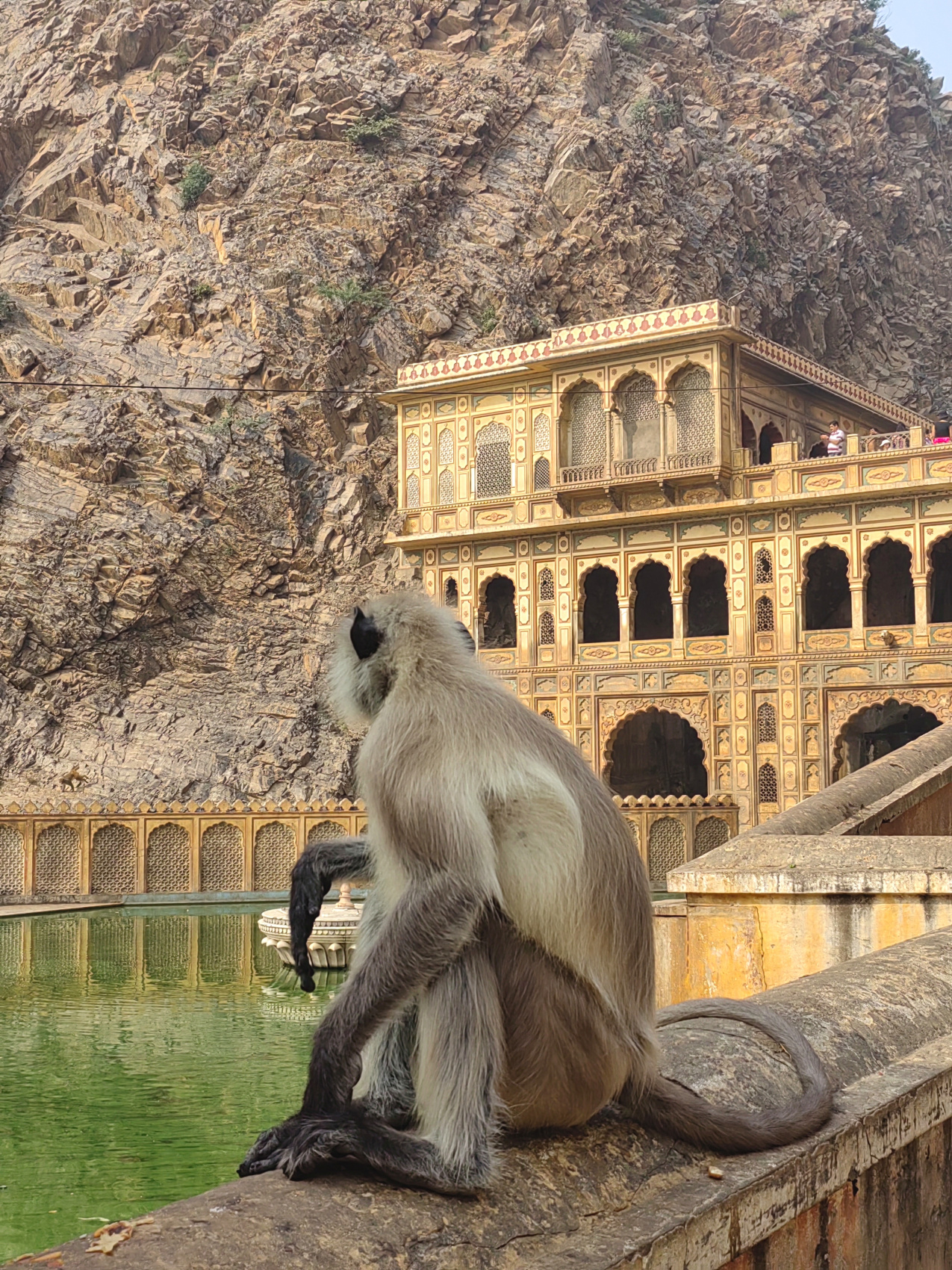 Волшебная Индия с Гоа (83/170)