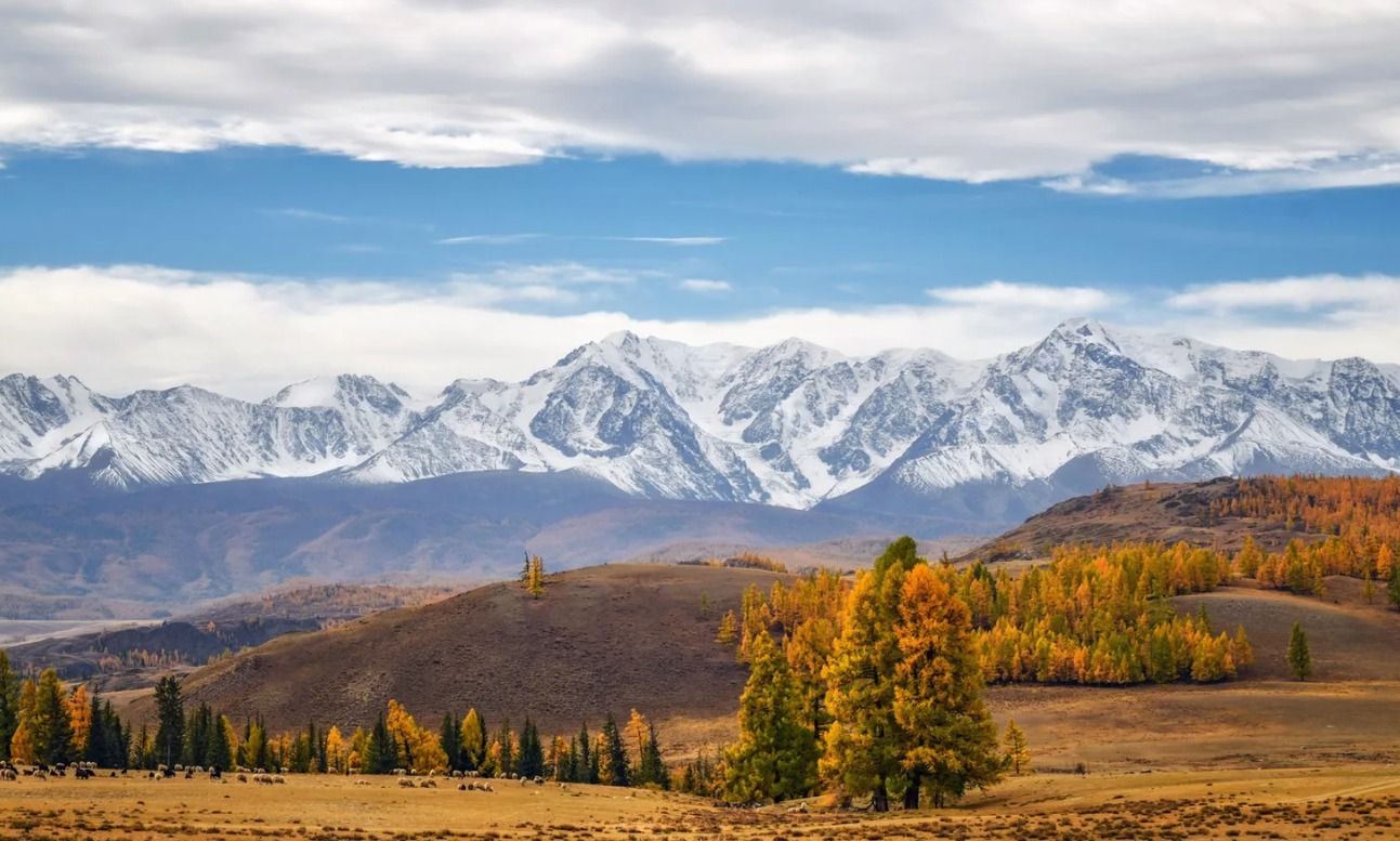 Шелковый Путь Алтая 2026 - Треккинги по восхитительным местам Алтая! (61/69)