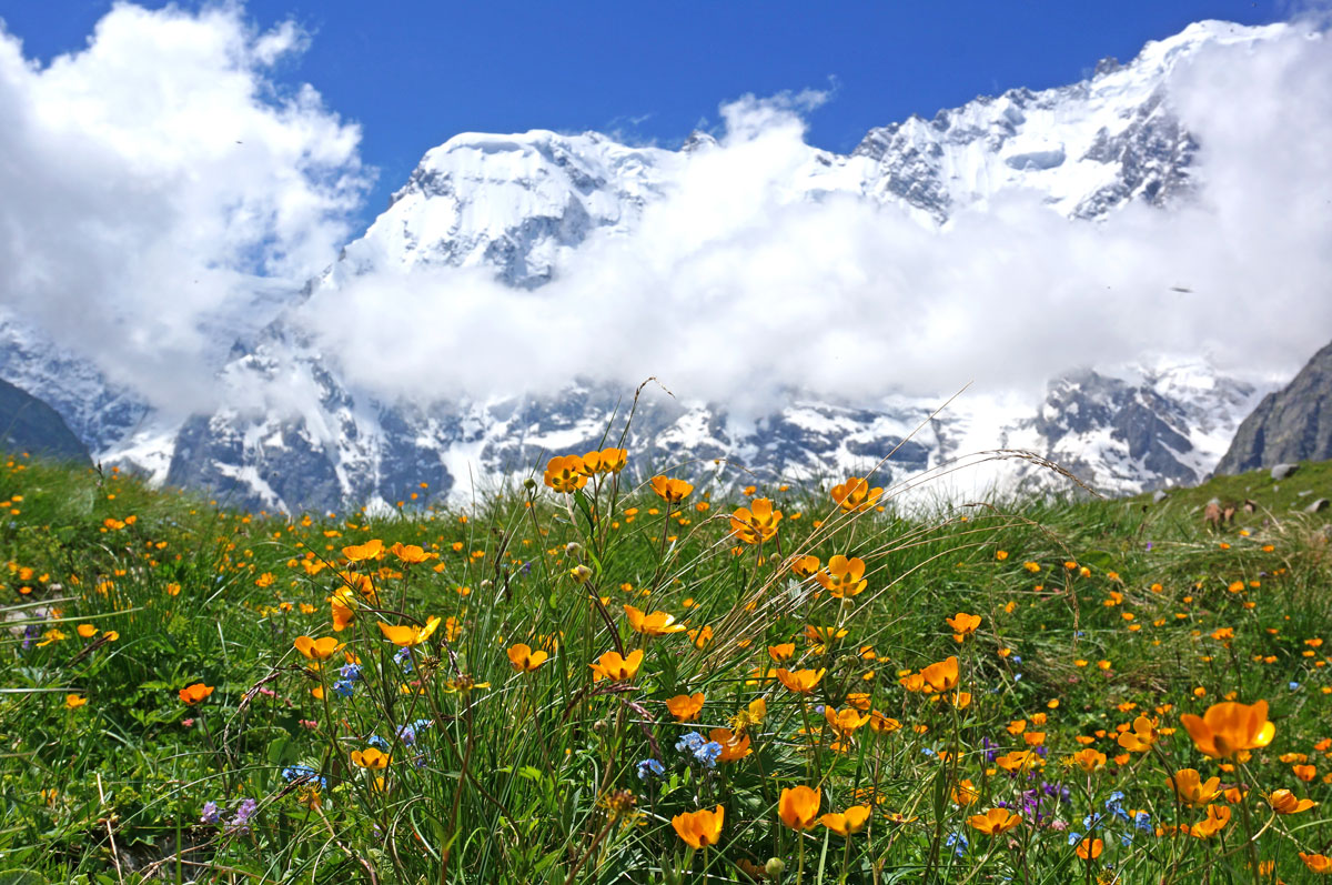 Треккинг в Безенги. Комфорт-тур с гостиницей. (39/54)