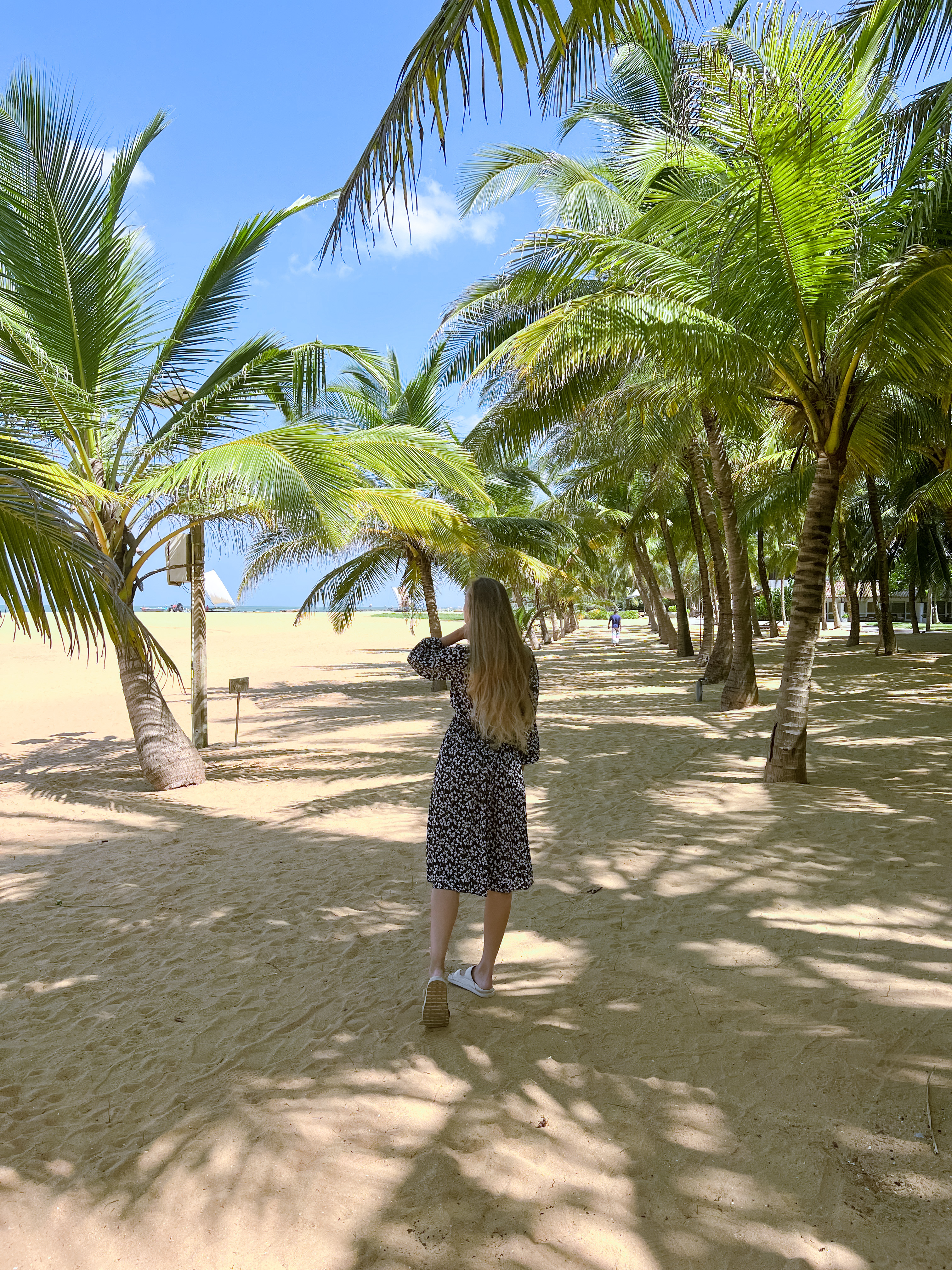 Приключения на Шри-Ланке (172/173)