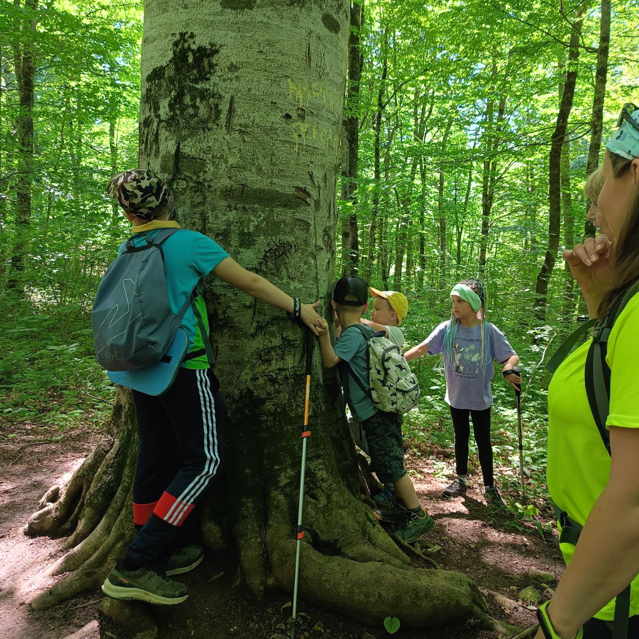 Семейная Адыгея: основы туризма (комфорт) (10/22)