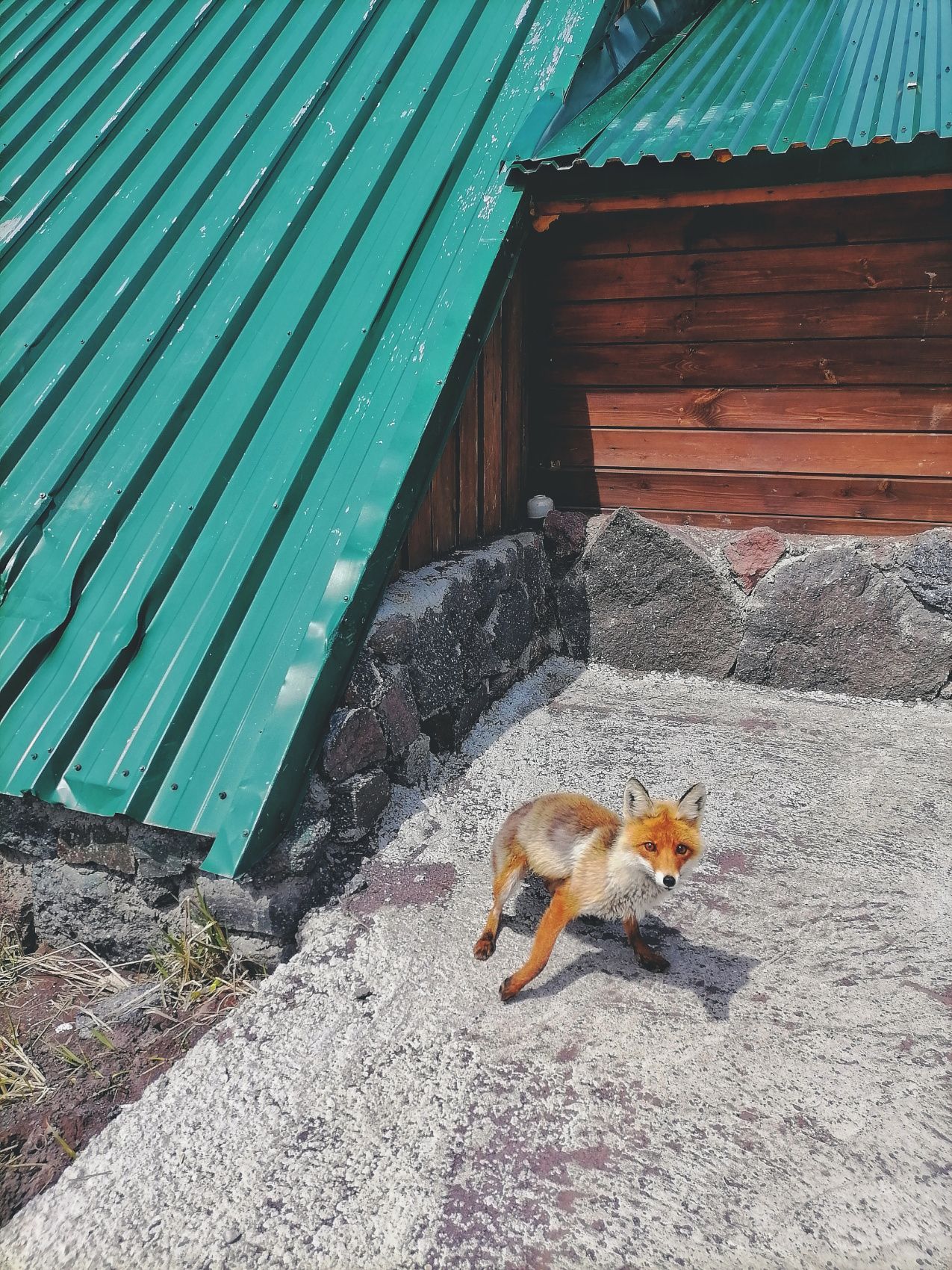 Величественное Приэльбрусье. Комфорт-тур без рюкзаков (17/53)