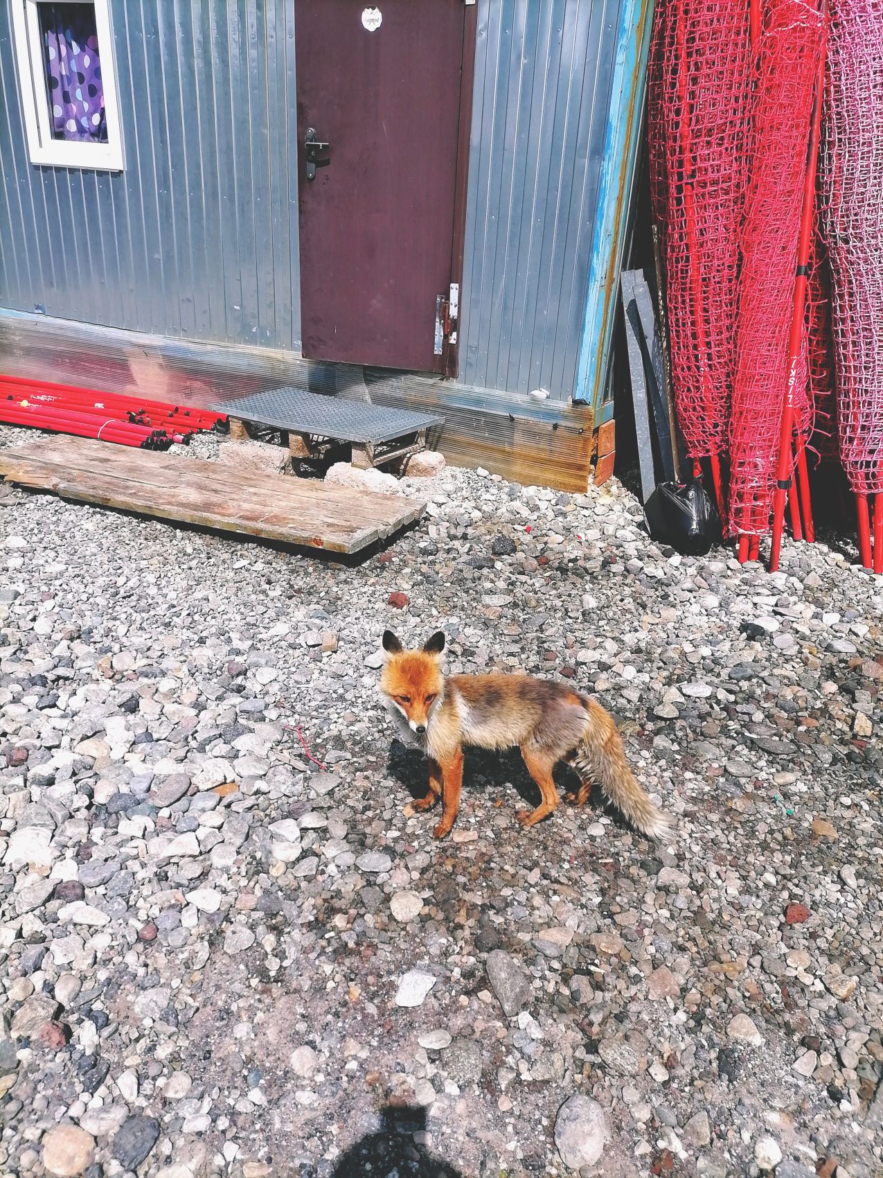 Величественное Приэльбрусье. Комфорт-тур без рюкзаков (4/53)